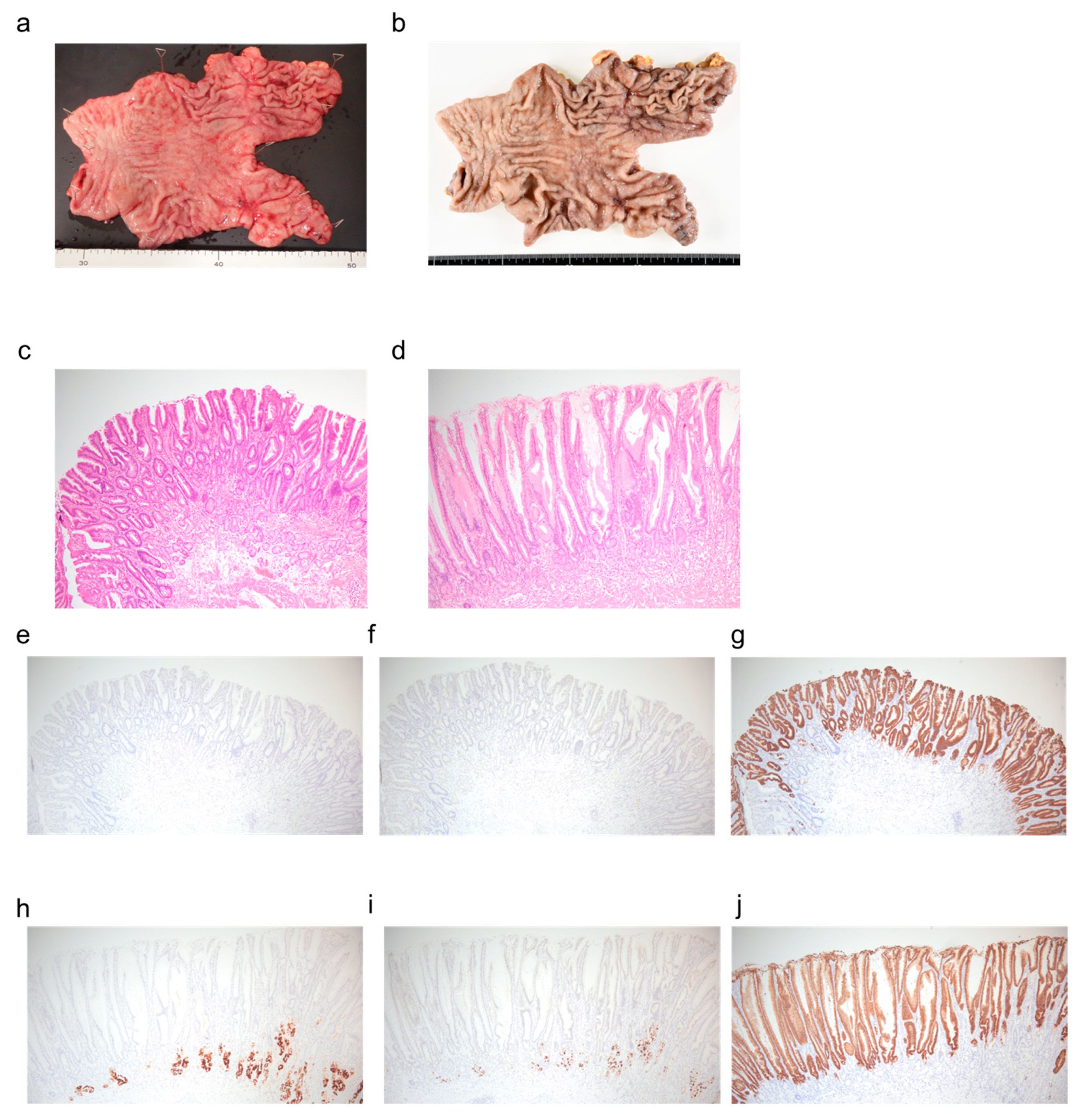 Reports 08 00235 g003