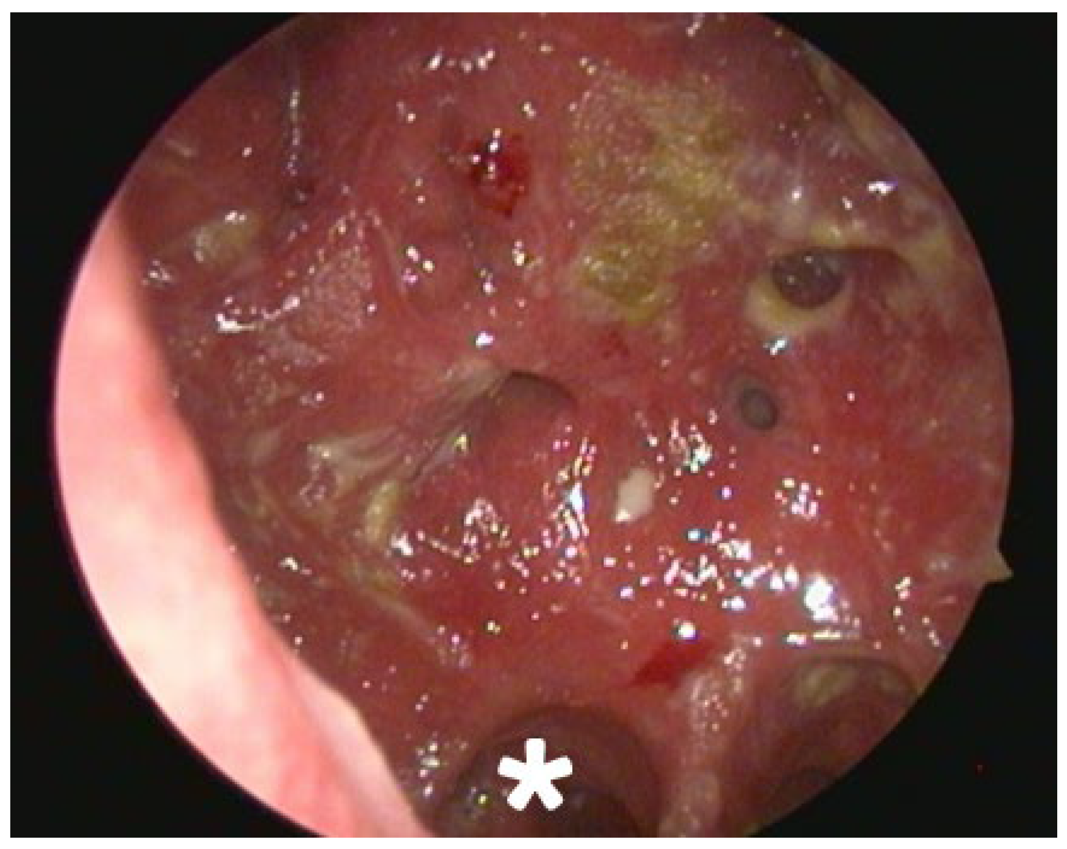 Reports 08 00237 g002