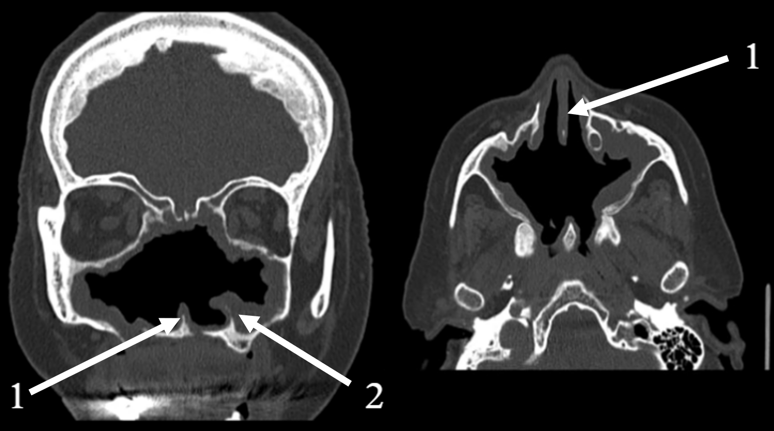 Reports 08 00237 g003