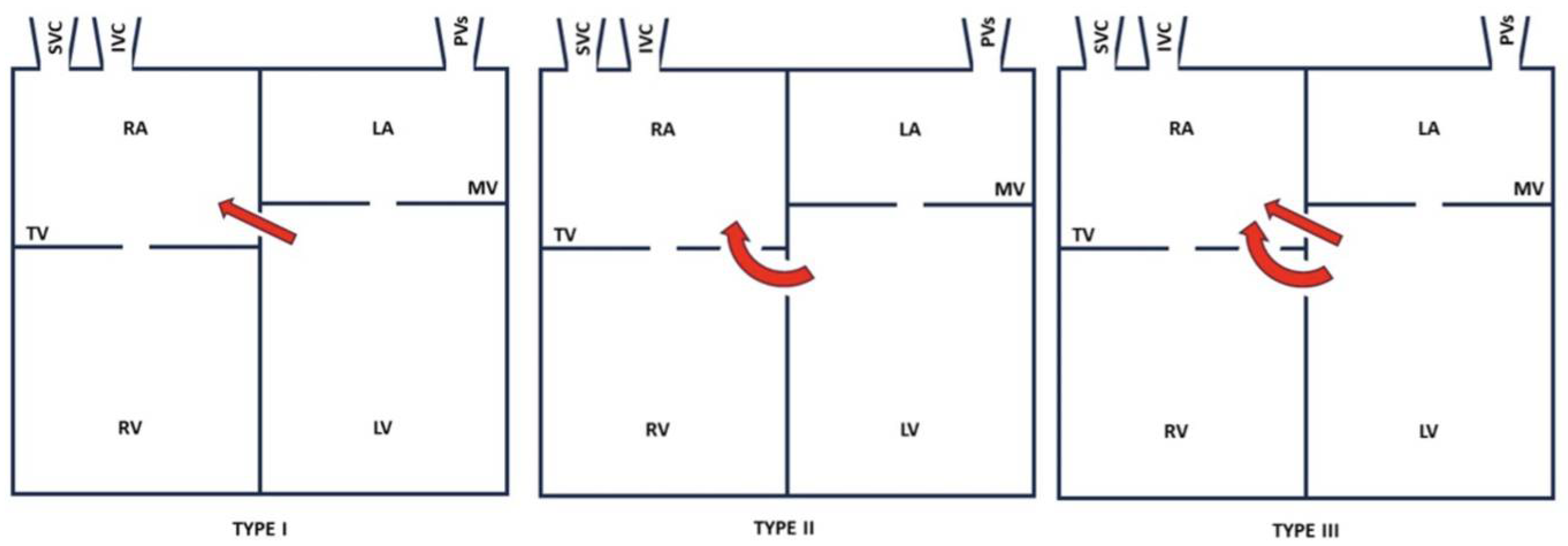 Reports 08 00238 g003