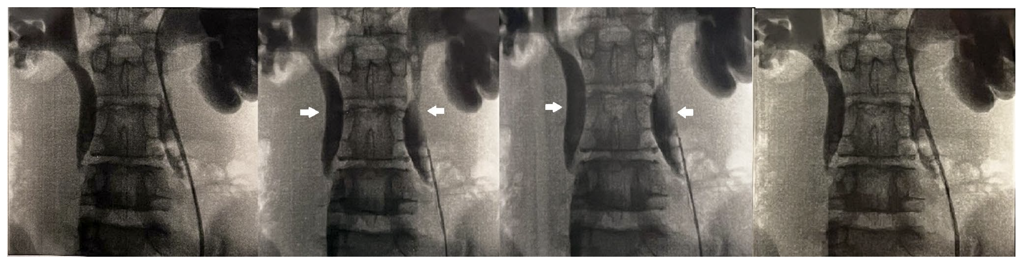 Reports 08 00239 g001