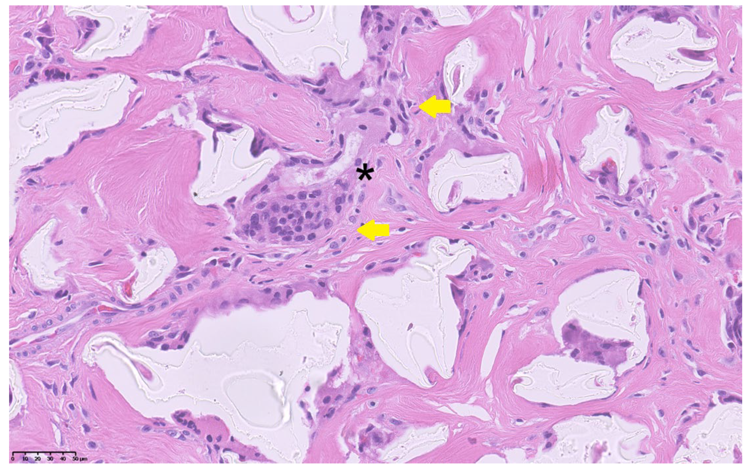 Reports 08 00239 g003