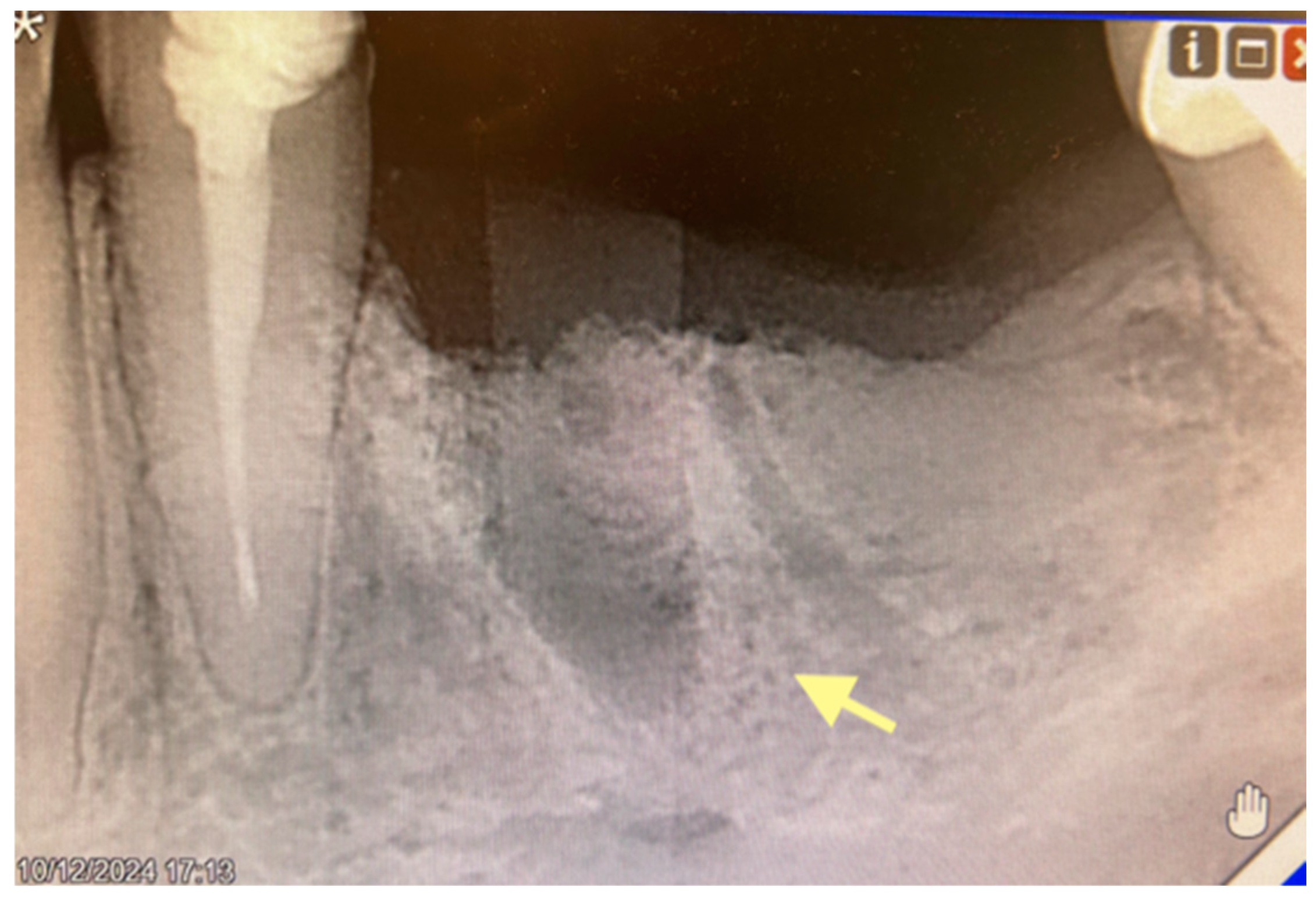 Reports 08 00240 g002