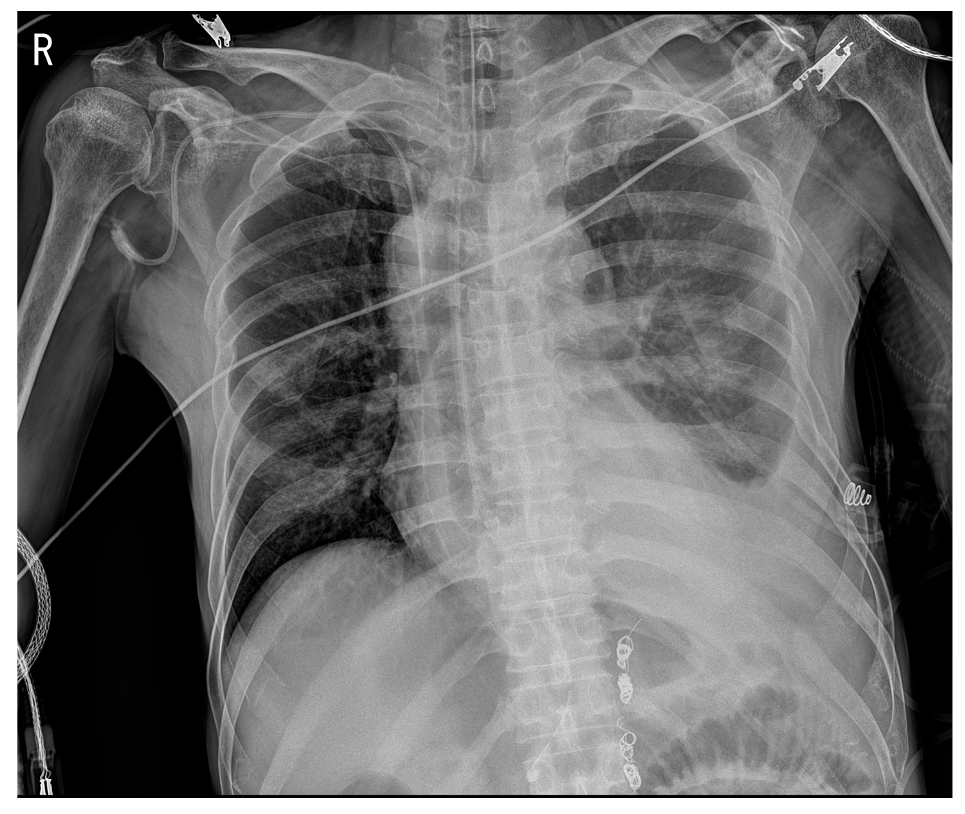 Reports 08 00241 g002