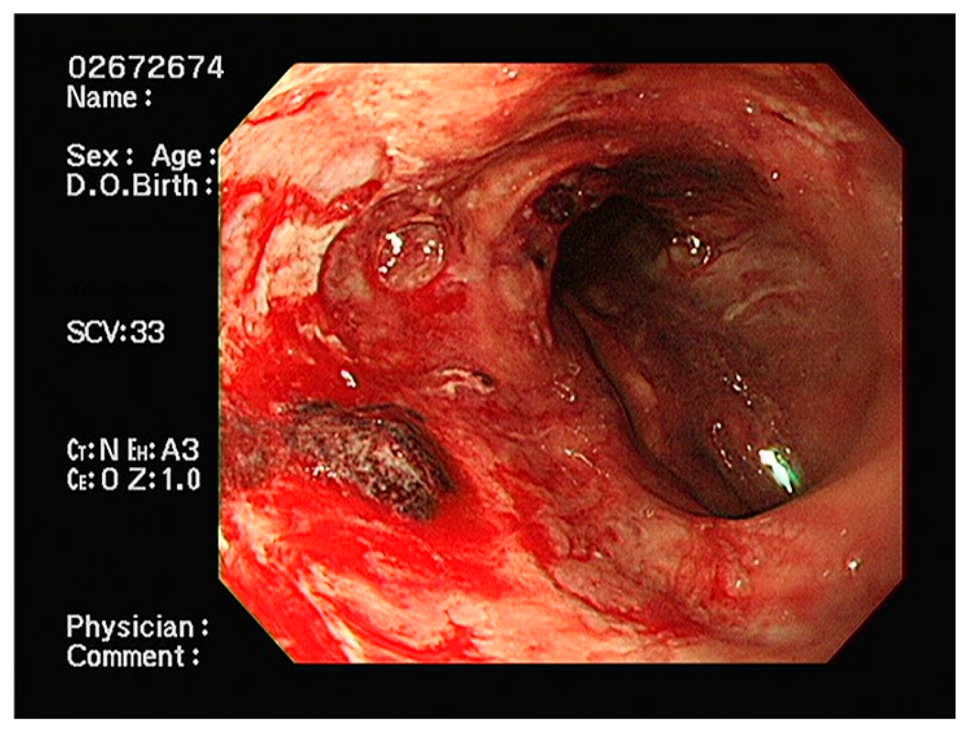 Reports 08 00241 g003