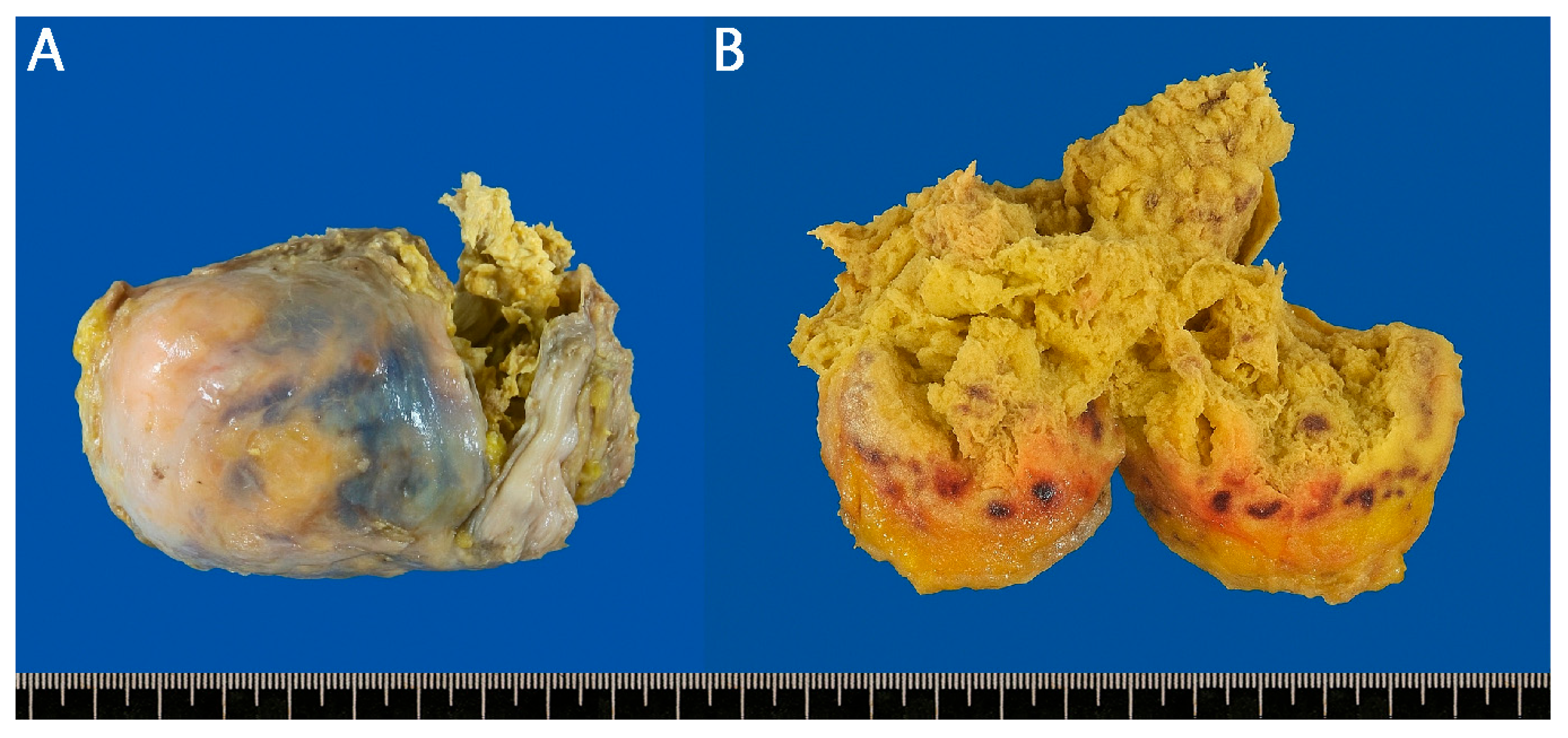 Reports 08 00242 g002