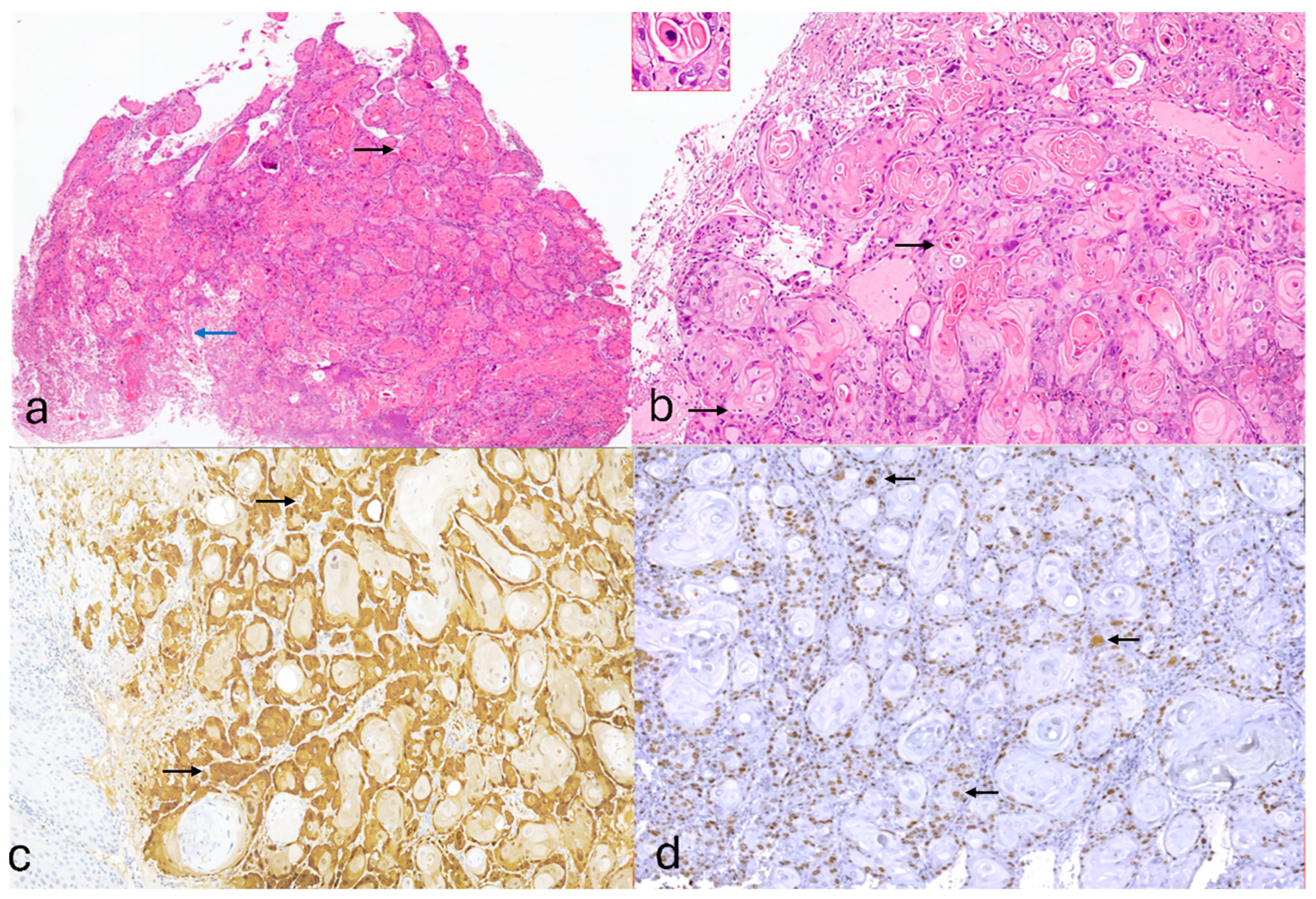 Reports 08 00243 g002