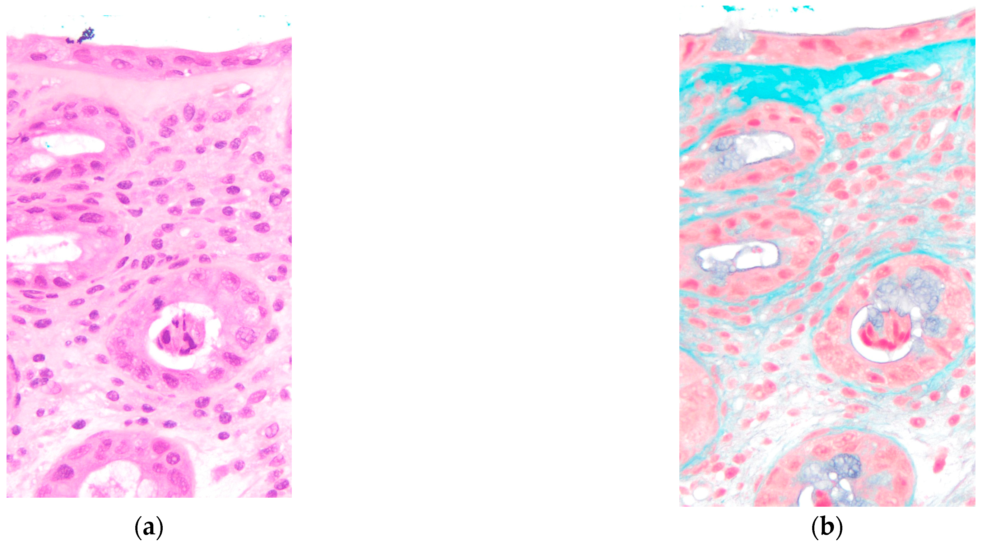 Reports 08 00244 g004