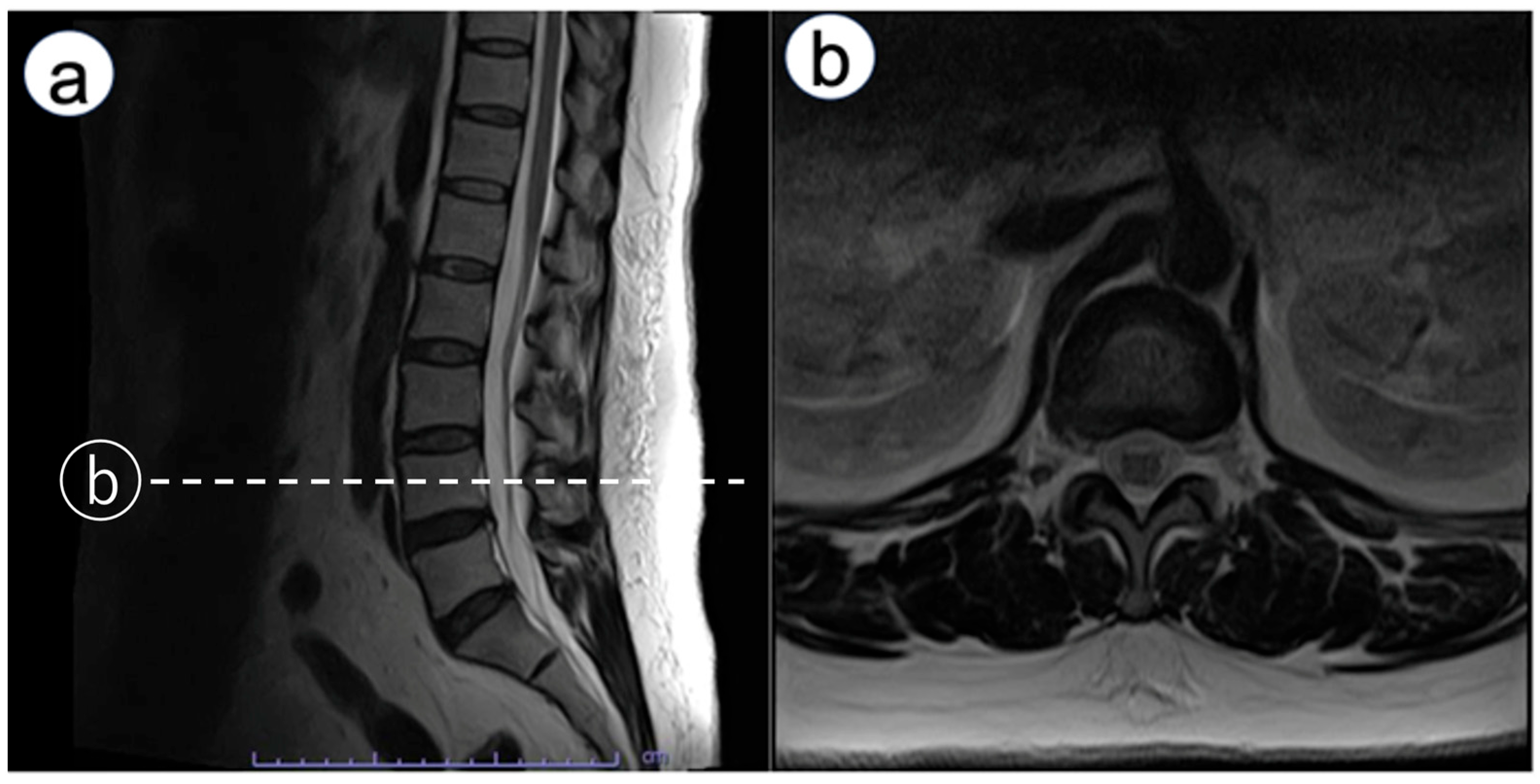 Reports 08 00245 g001