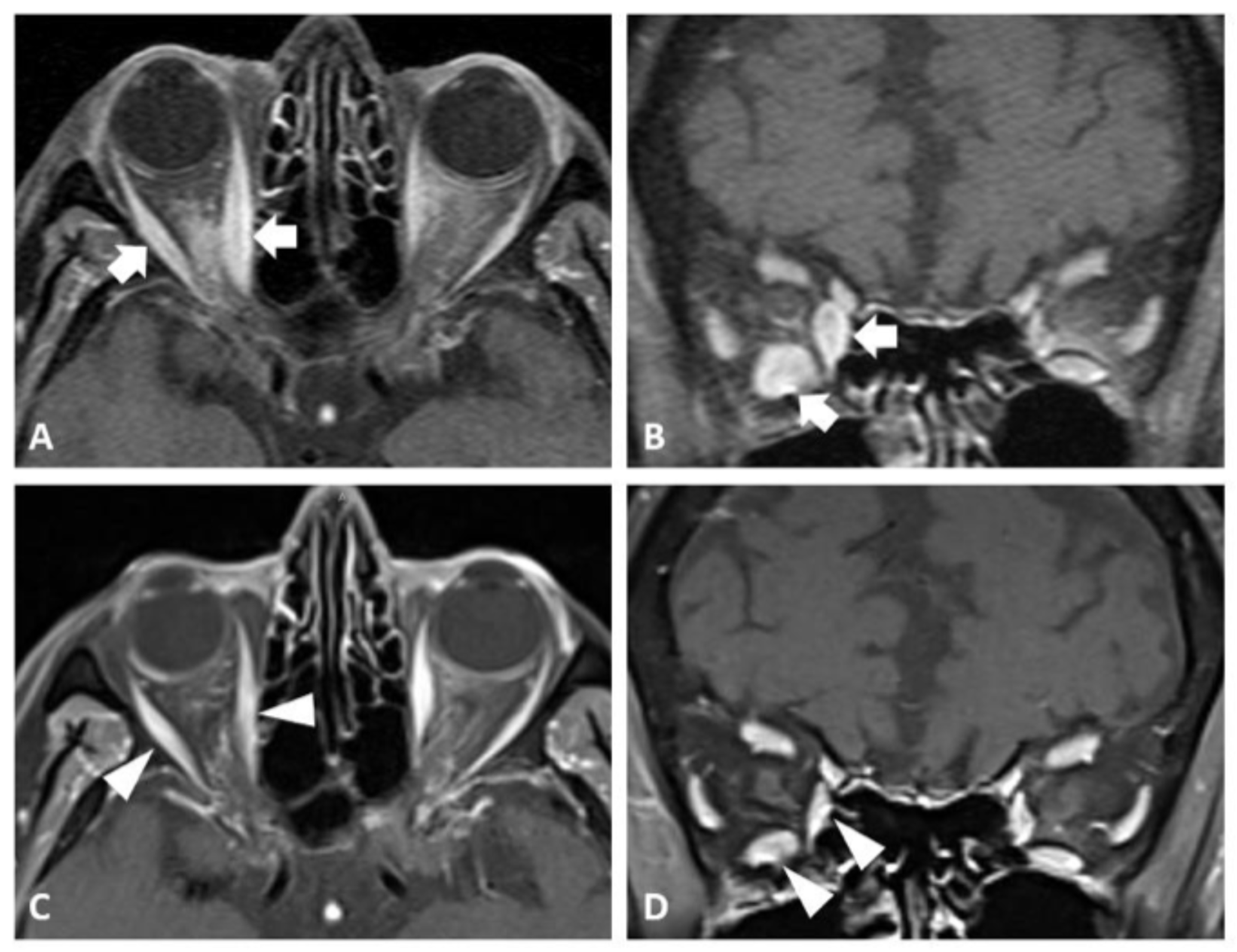 Reports 08 00246 g002 Reports 08 00246 g002