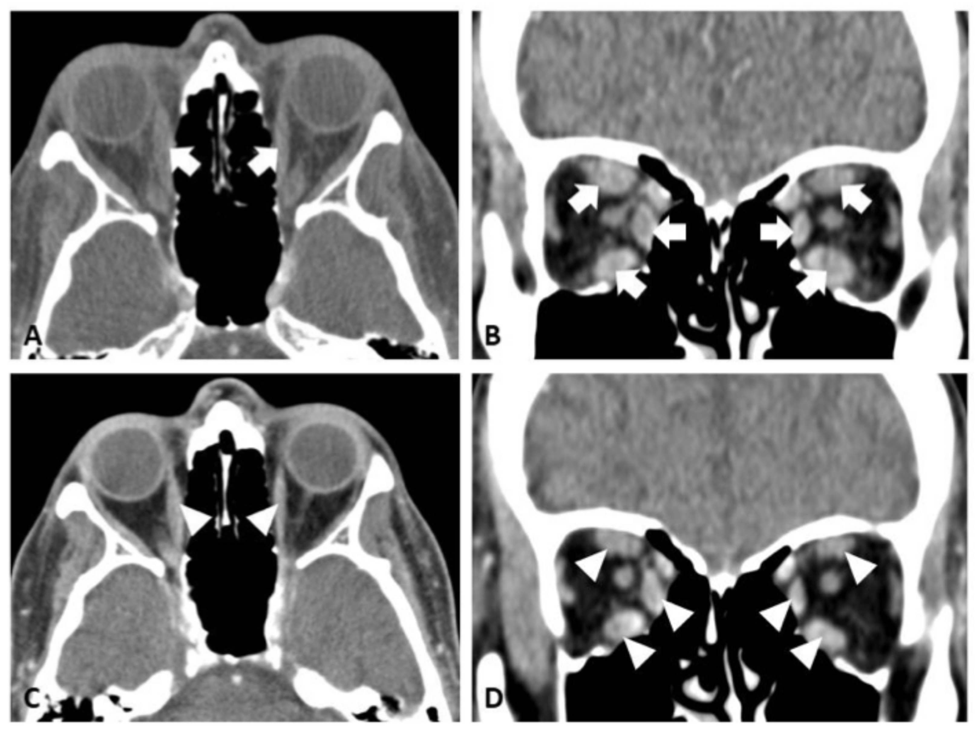 Reports 08 00246 g004 Reports 08 00246 g004