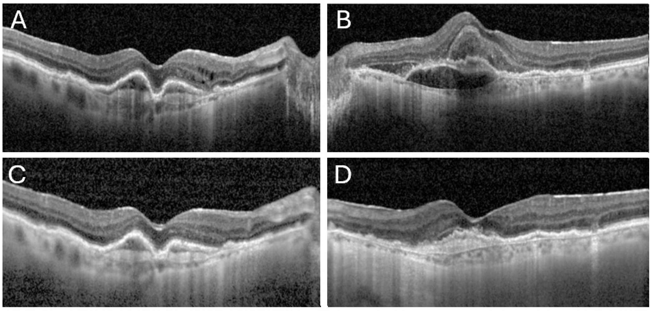 Reports 08 00249 g001 Reports 08 00249 g001