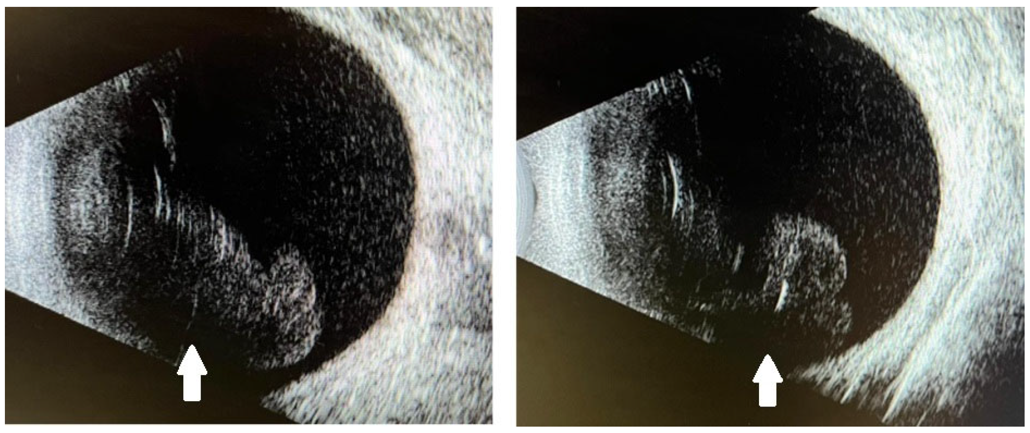 Reports 08 00249 g002 Reports 08 00249 g002