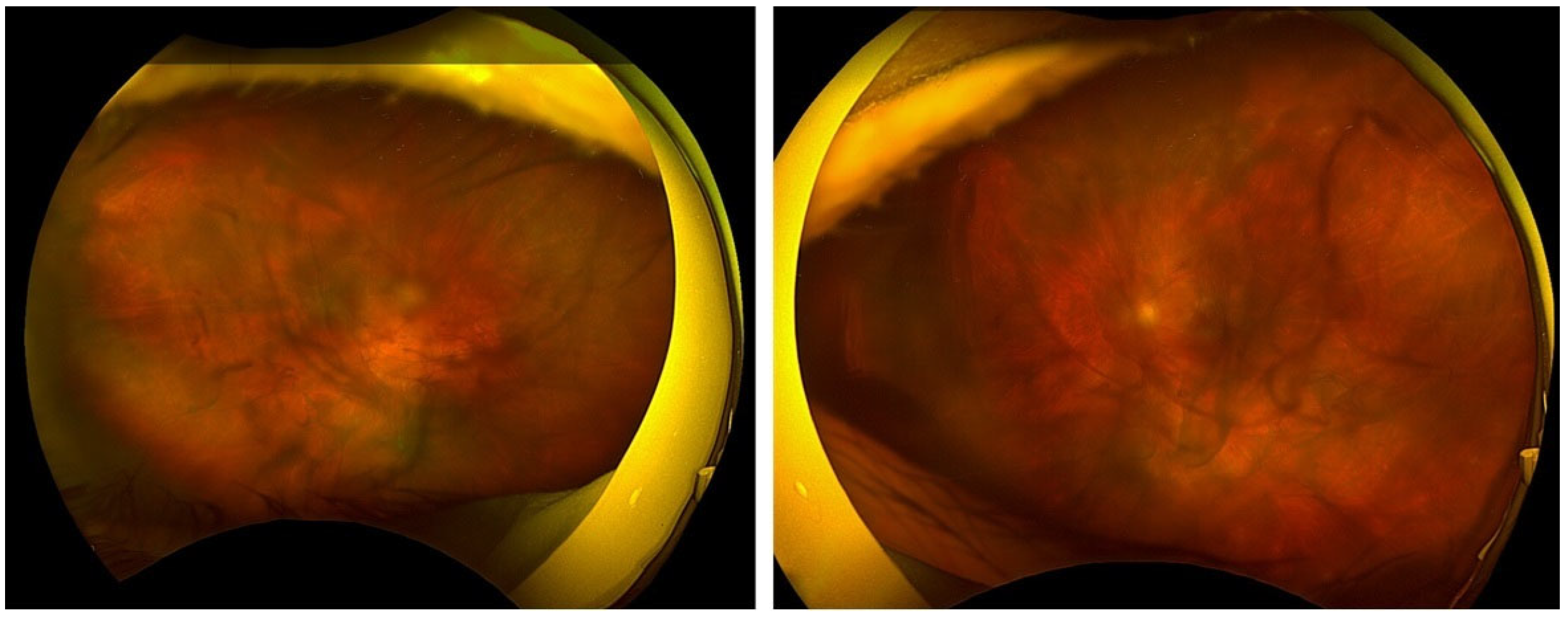 Reports 08 00249 g003 Reports 08 00249 g003