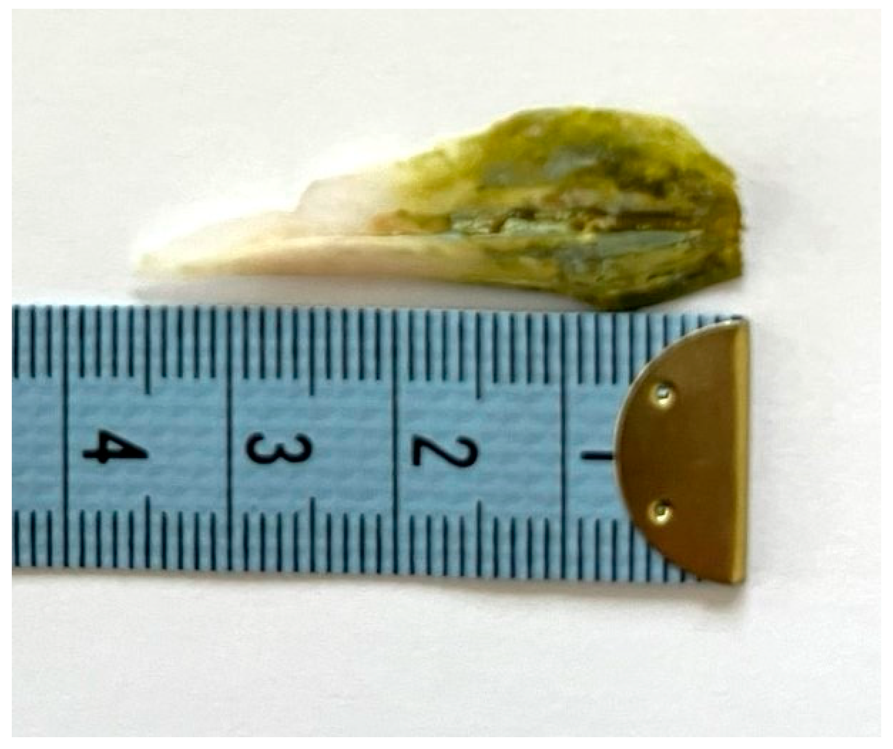 Reports 08 00252 g005 Reports 08 00252 g005