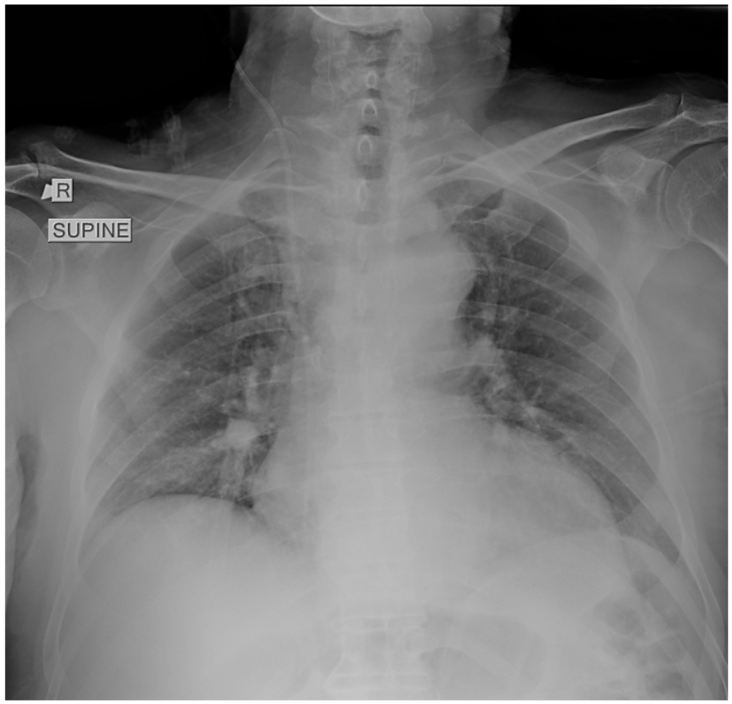 Reports 08 00253 g001 Reports 08 00253 g001