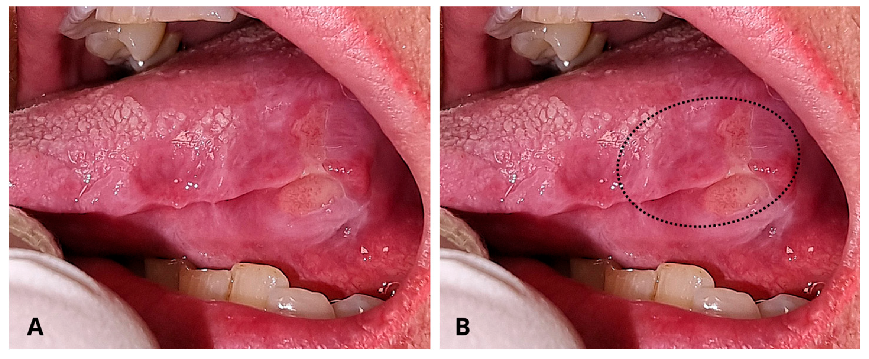 Reports 08 00254 g001