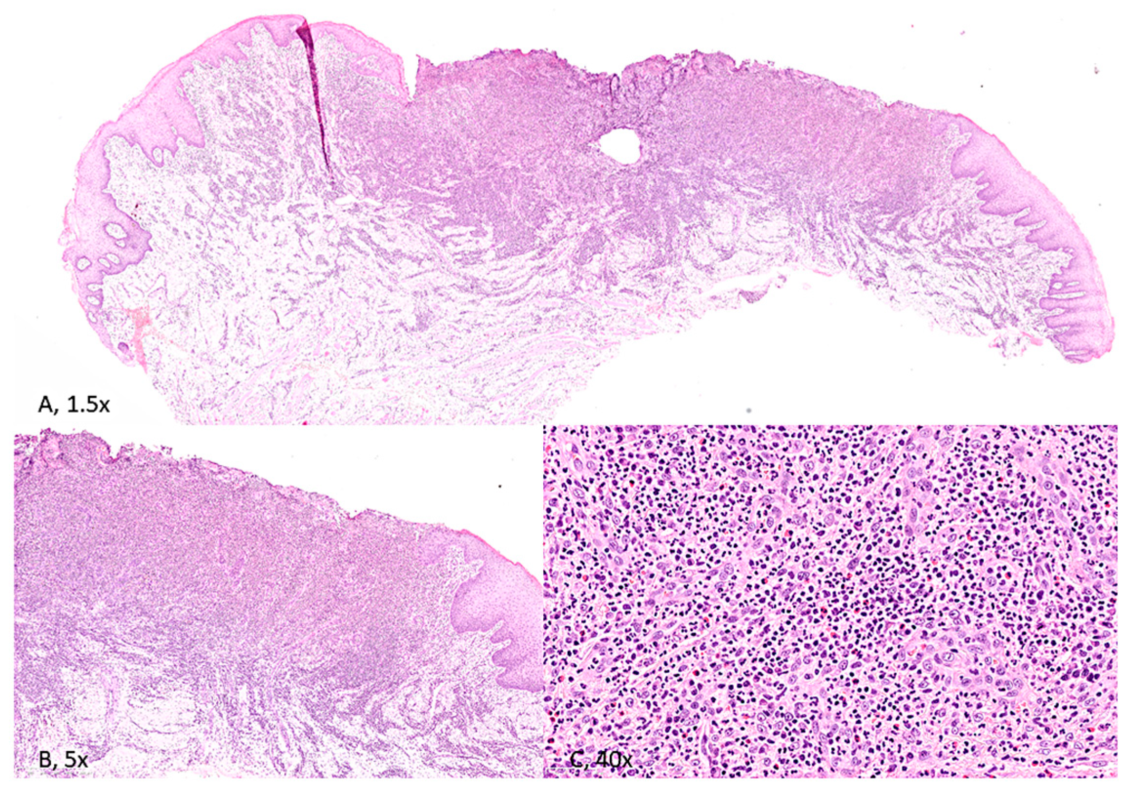 Reports 08 00254 g003