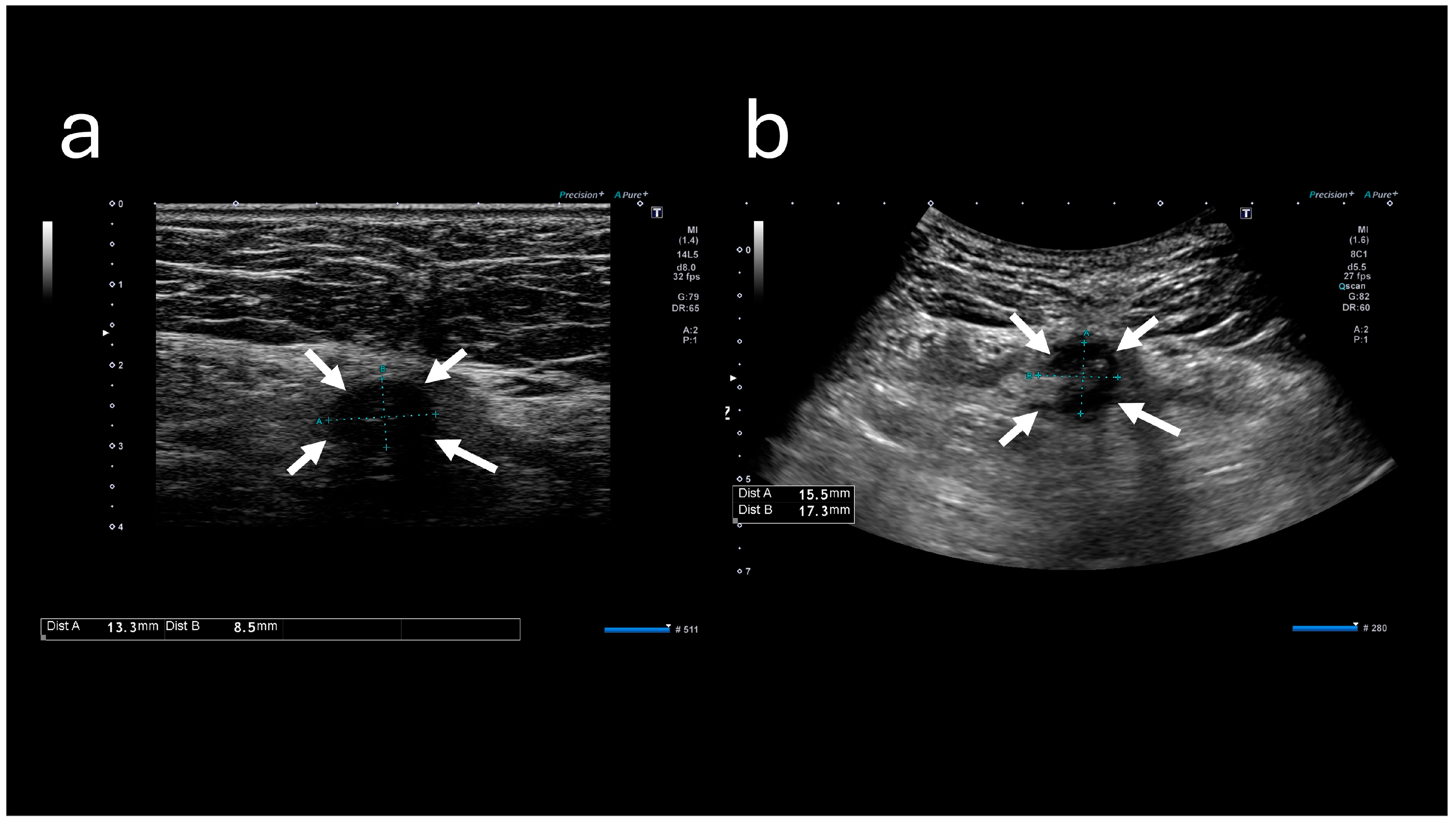 Reports 08 00255 g004