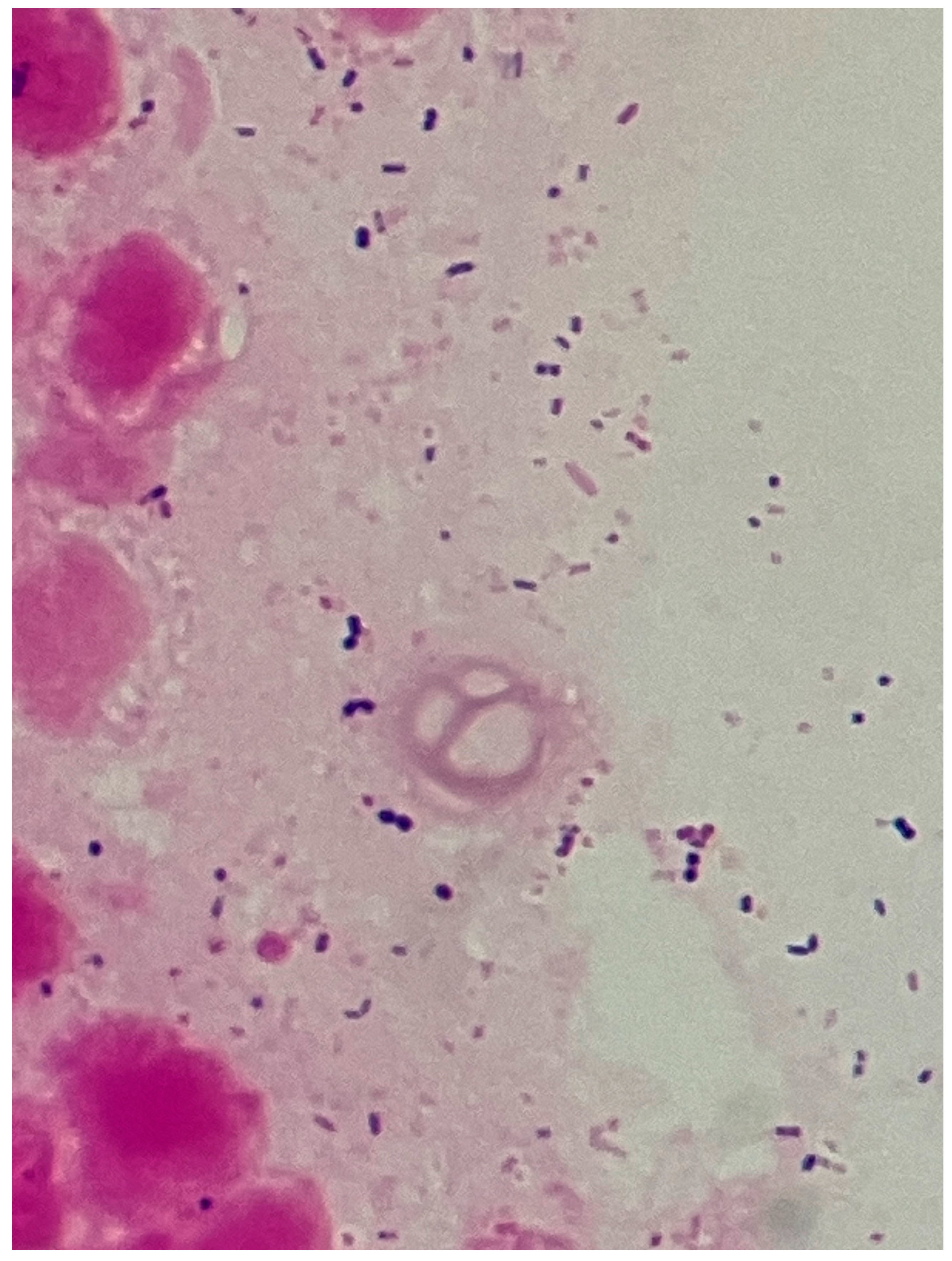 Reports 08 00255 g007