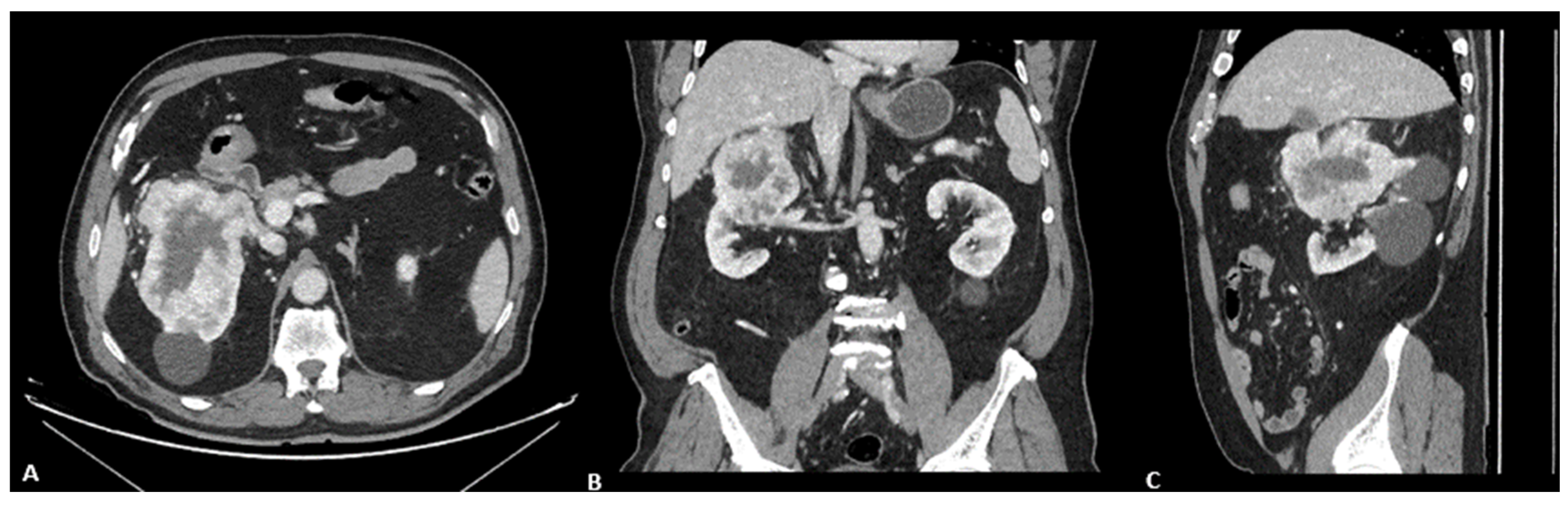 Reports 08 00256 g001 Reports 08 00256 g001