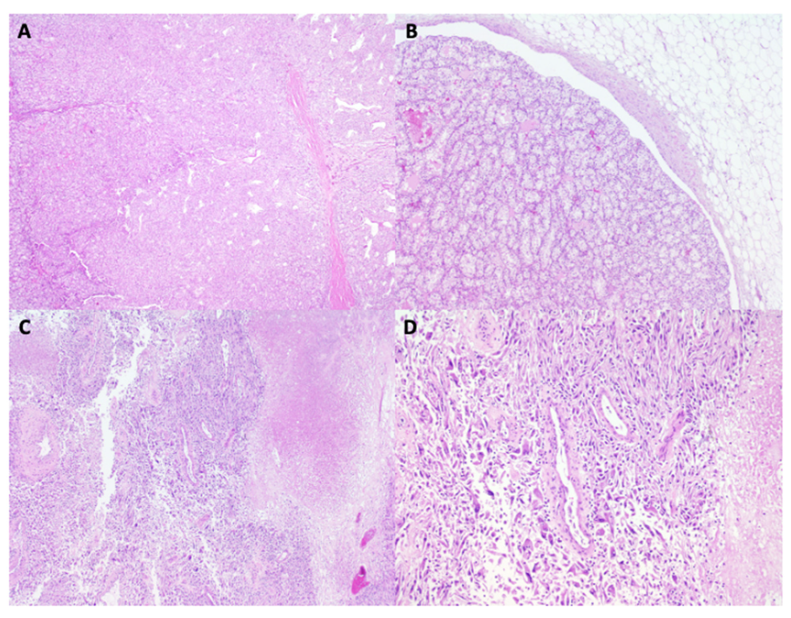 Reports 08 00256 g002 Reports 08 00256 g002