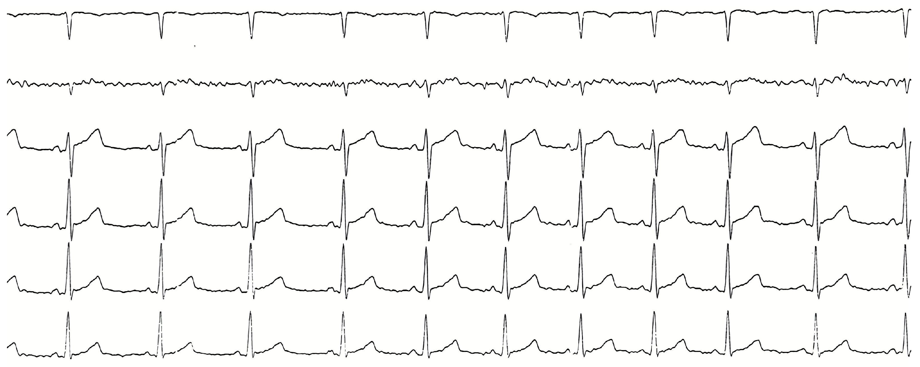 Reports 08 00264 g002 Reports 08 00264 g002