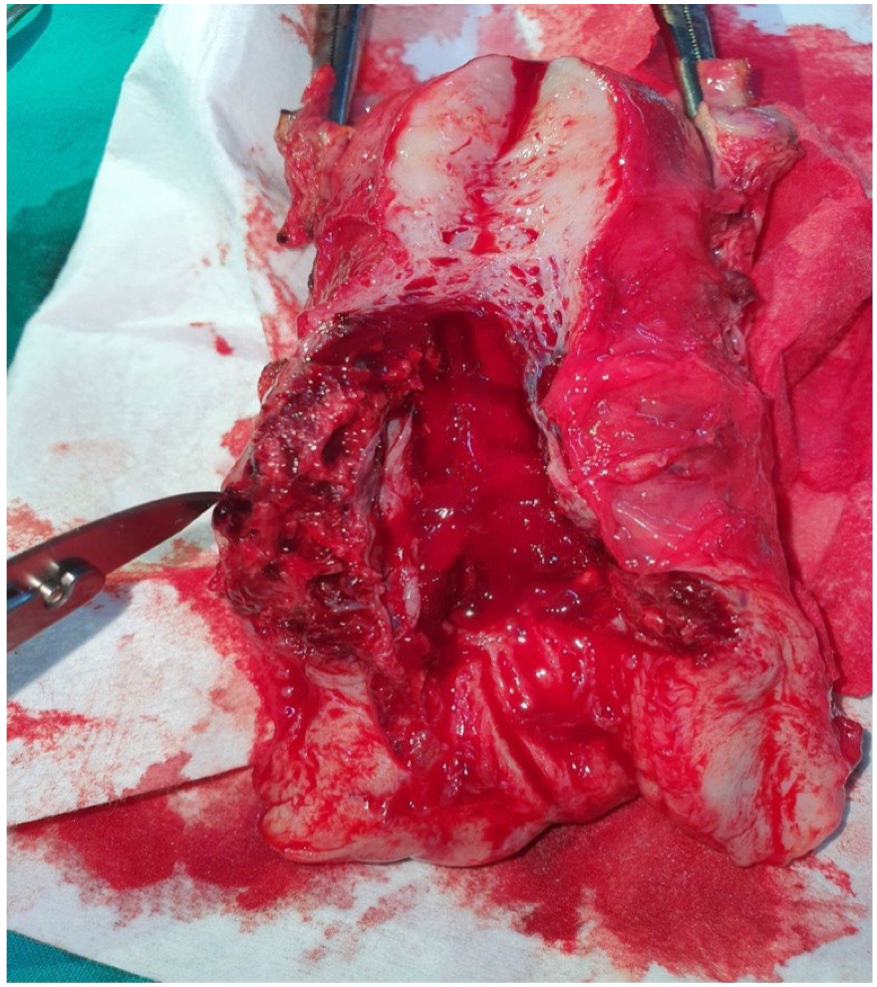 Reports 08 00267 g001