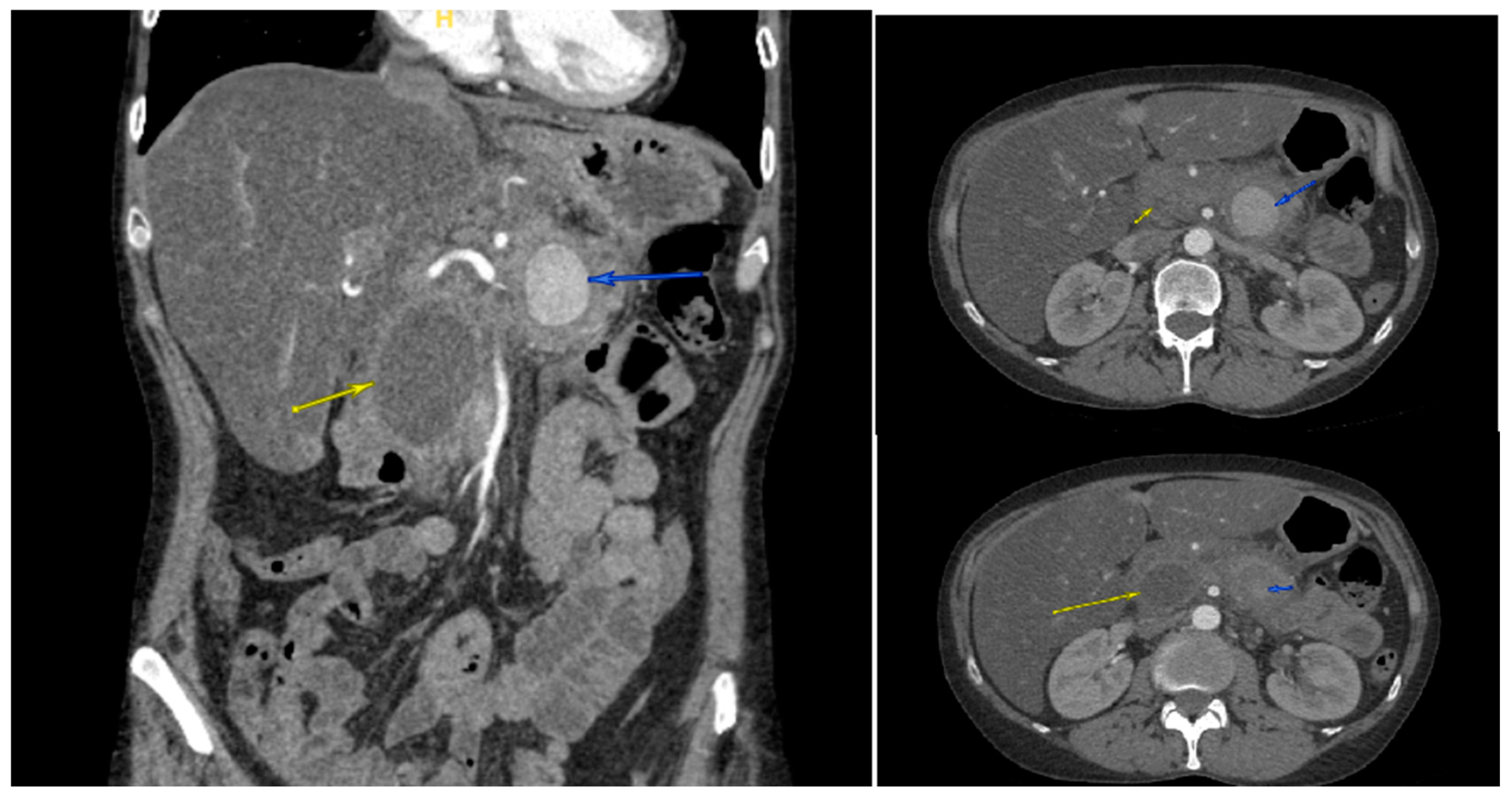 Reports 08 00269 g002 Reports 08 00269 g002