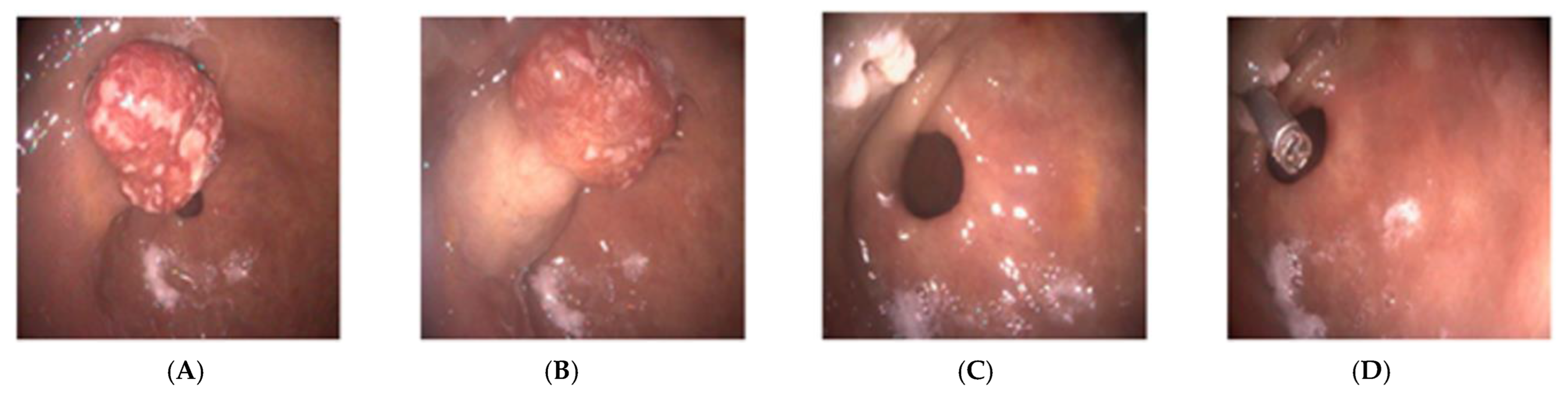 Reports 09 00002 g001