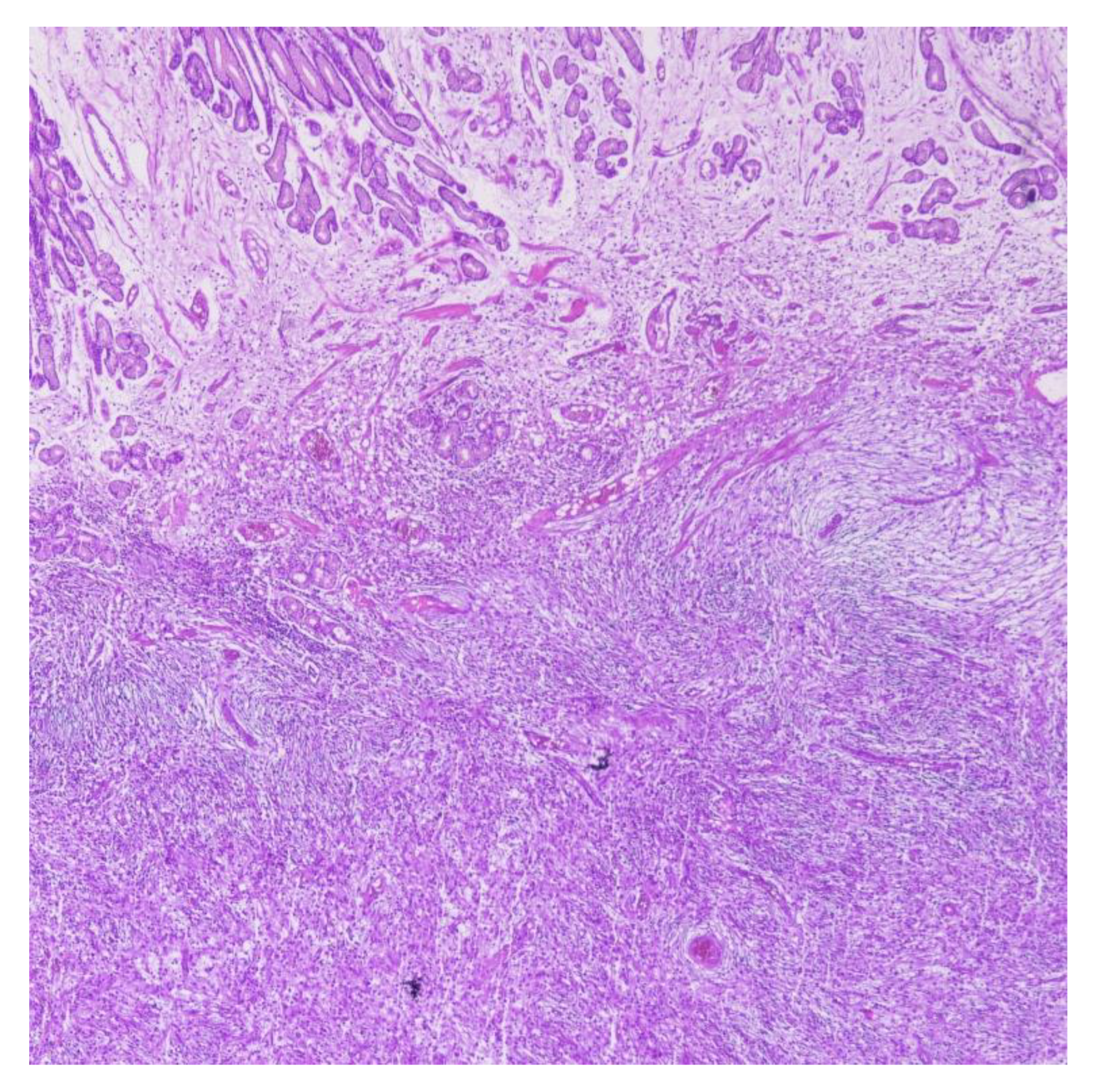 Reports 09 00002 g004