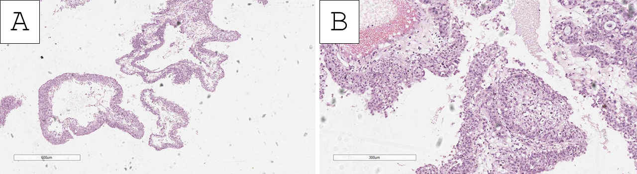 Reports 09 00003 g001