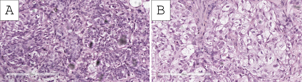 Reports 09 00003 g002