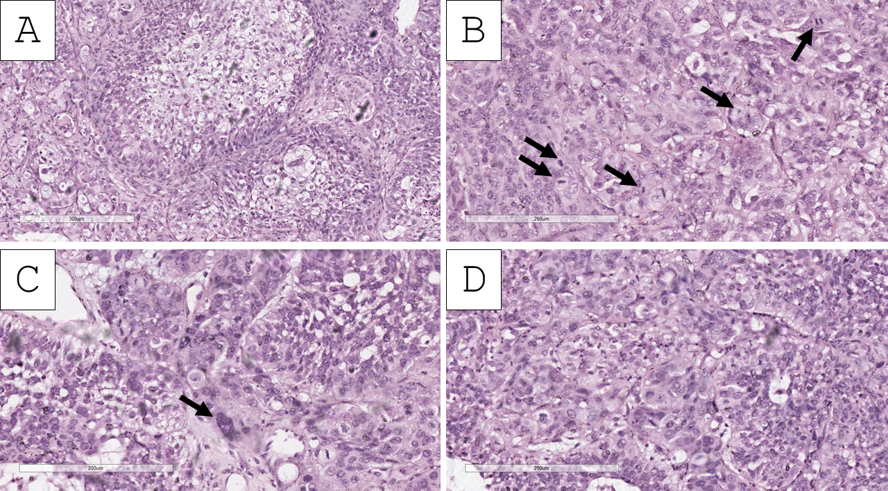 Reports 09 00003 g003