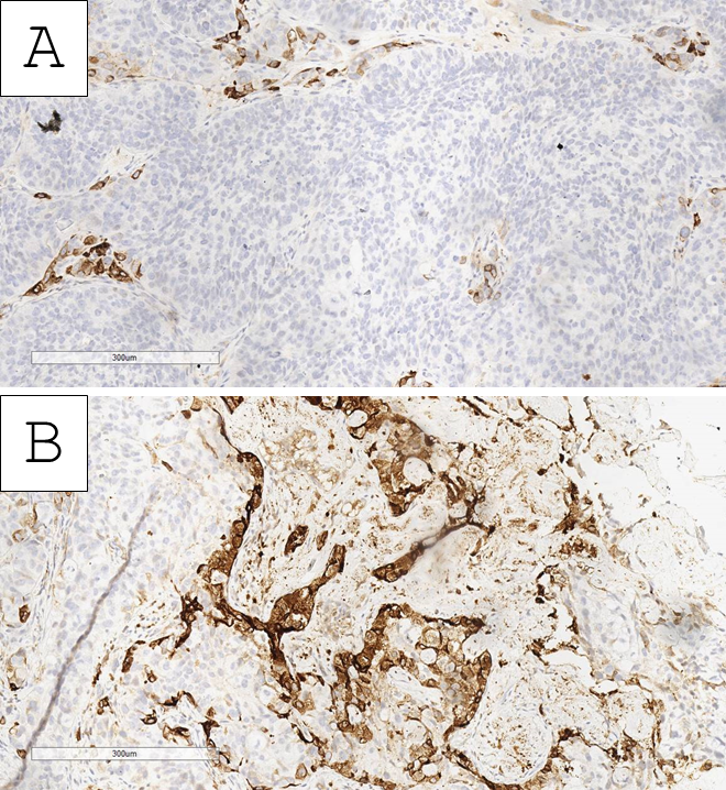 Reports 09 00003 g004