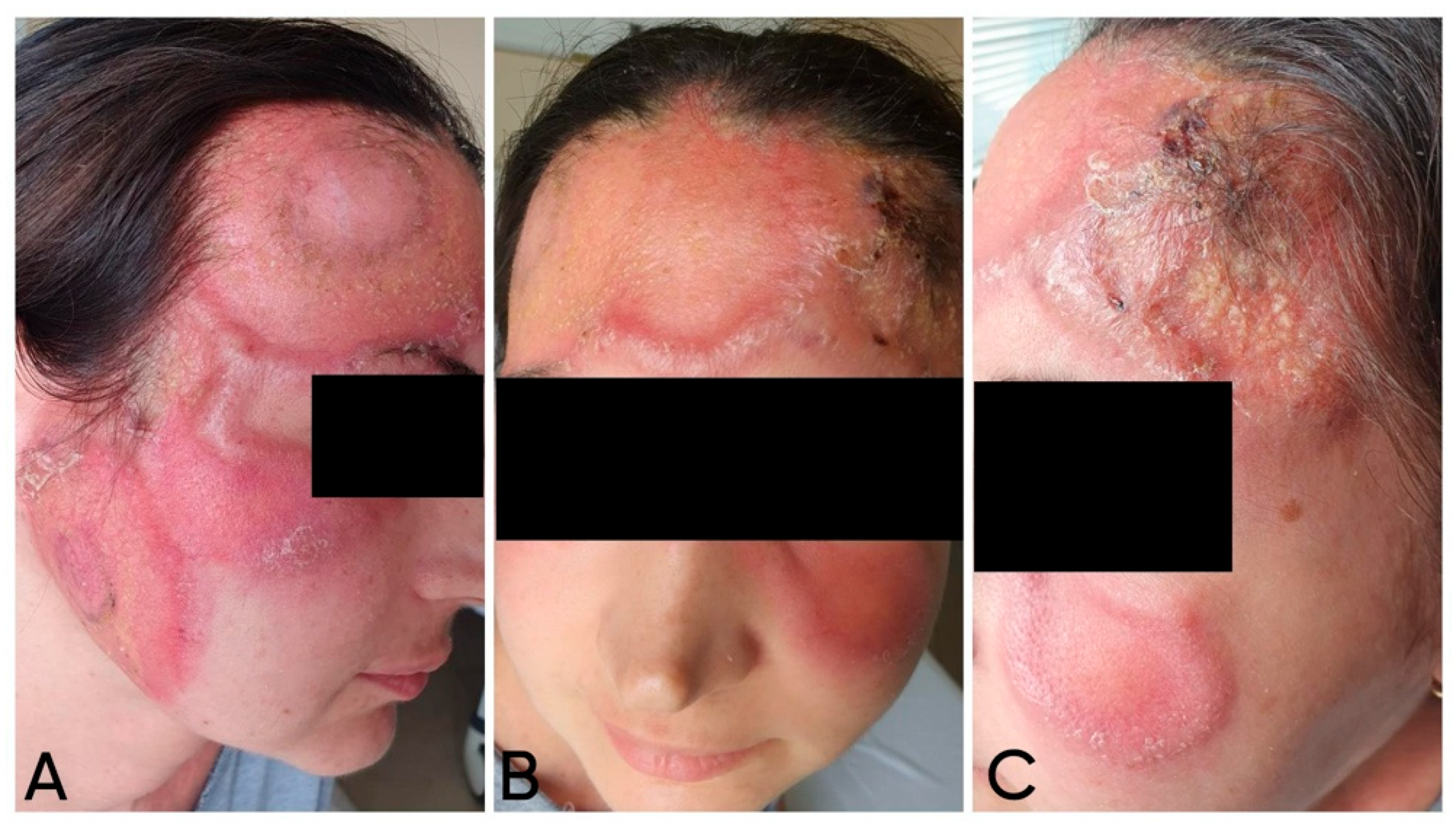 Reports 09 00004 g002