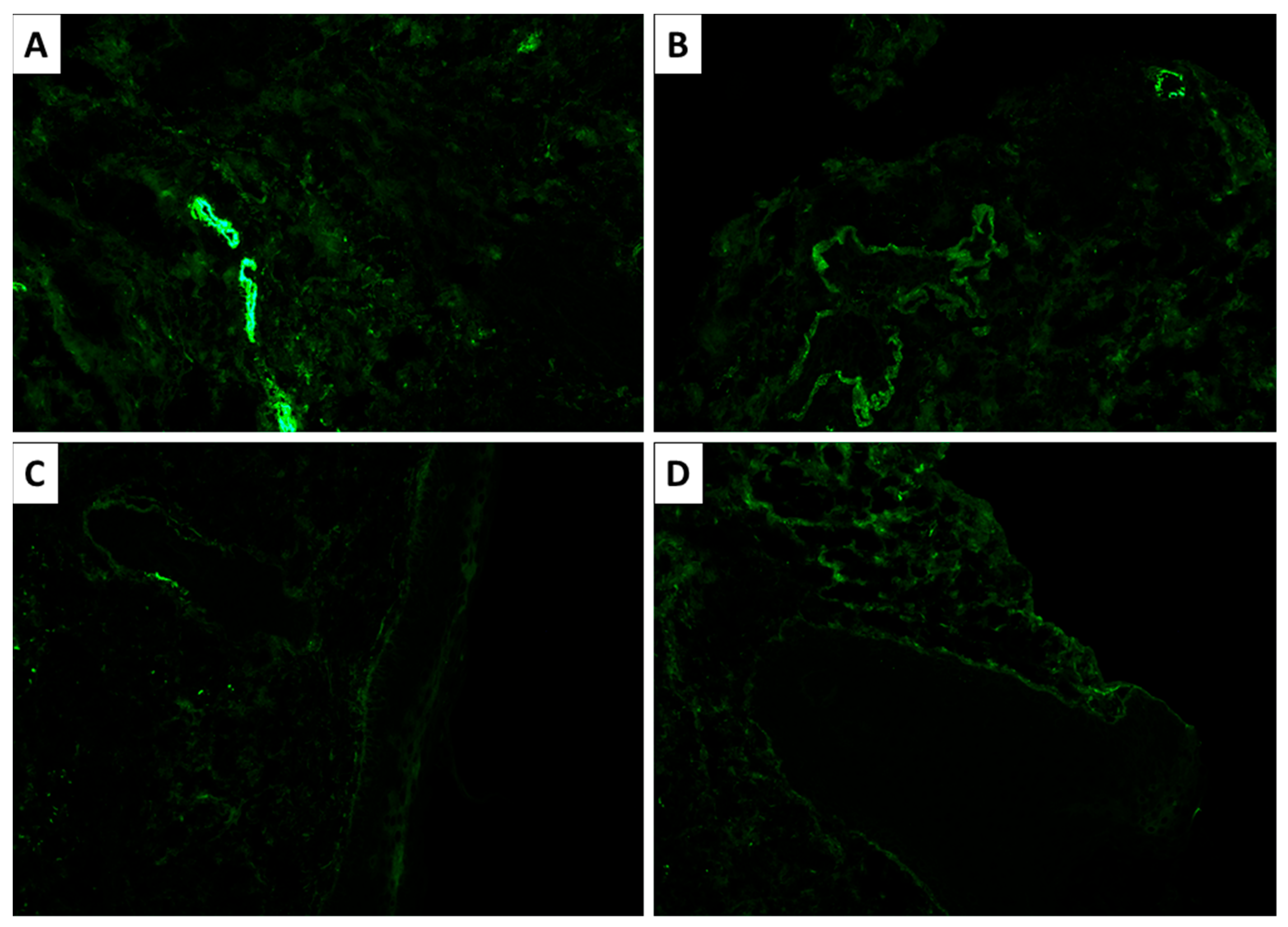 Reports 09 00004 g005