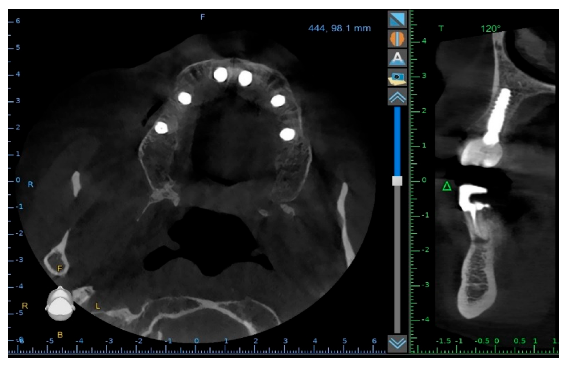 Reports 09 00008 g011