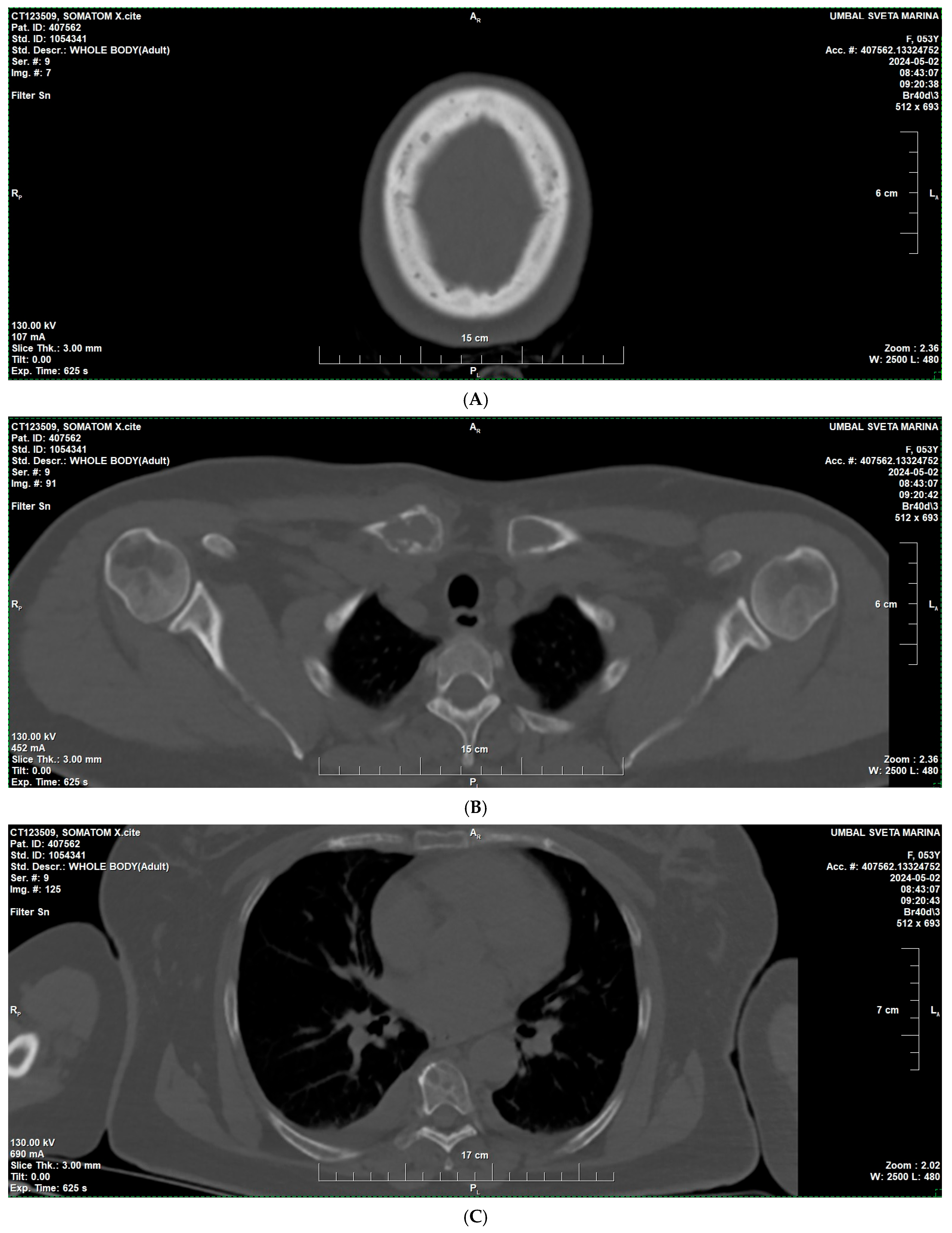 Reports 09 00013 g001a