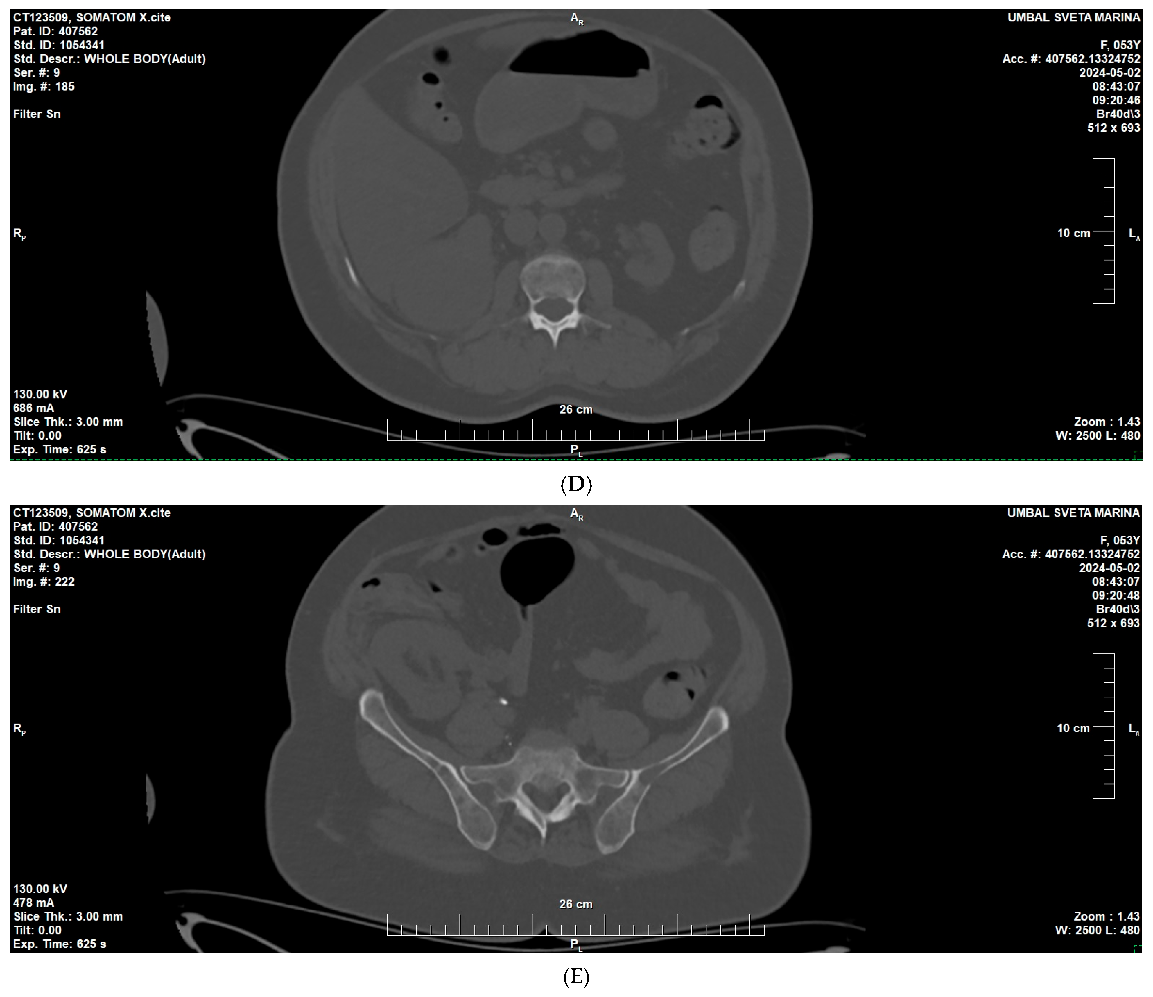 Reports 09 00013 g001b