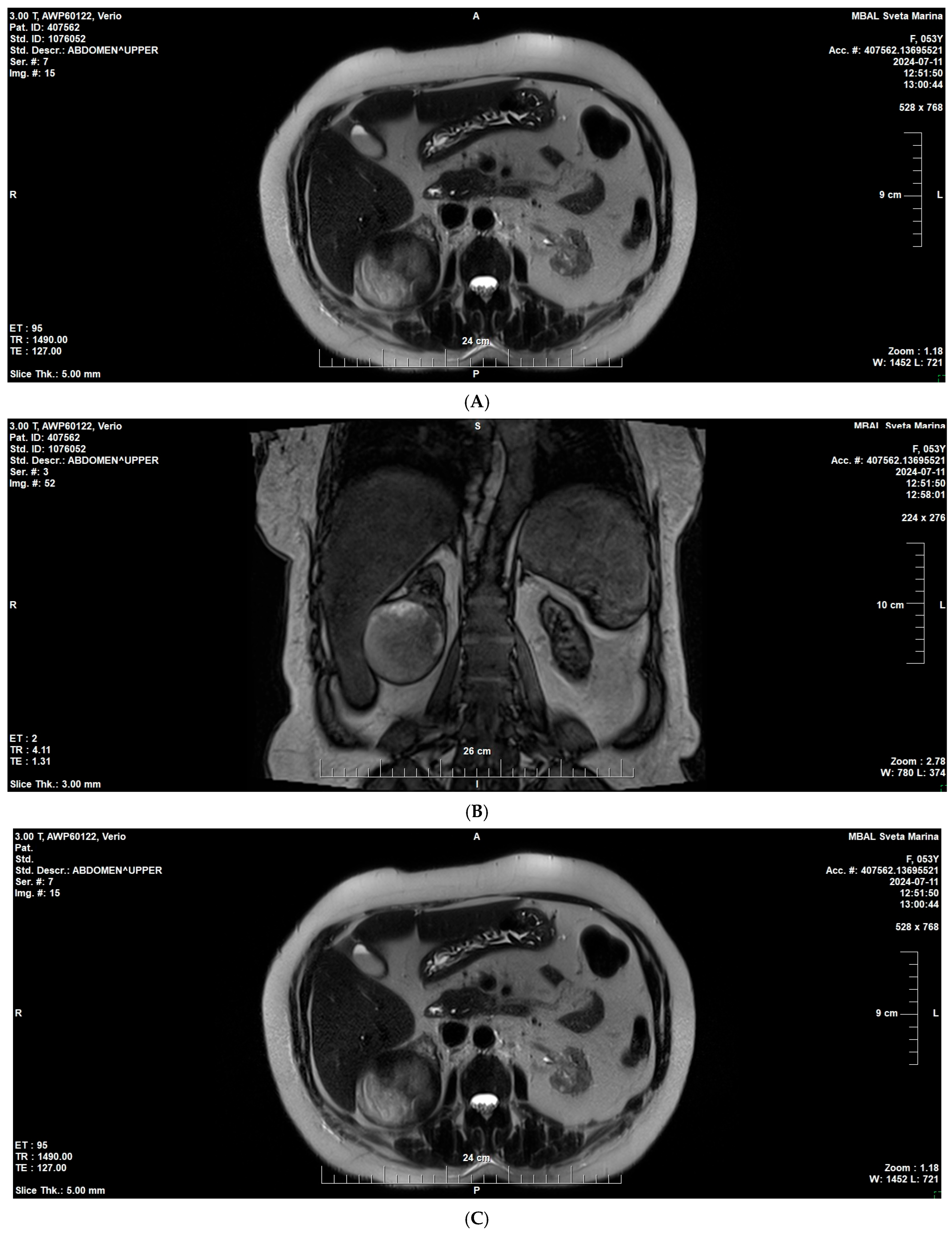 Reports 09 00013 g004