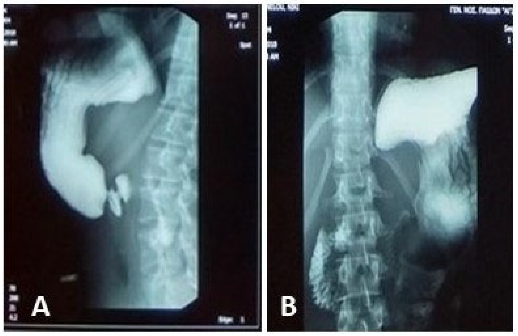 Reports 09 00020 g001