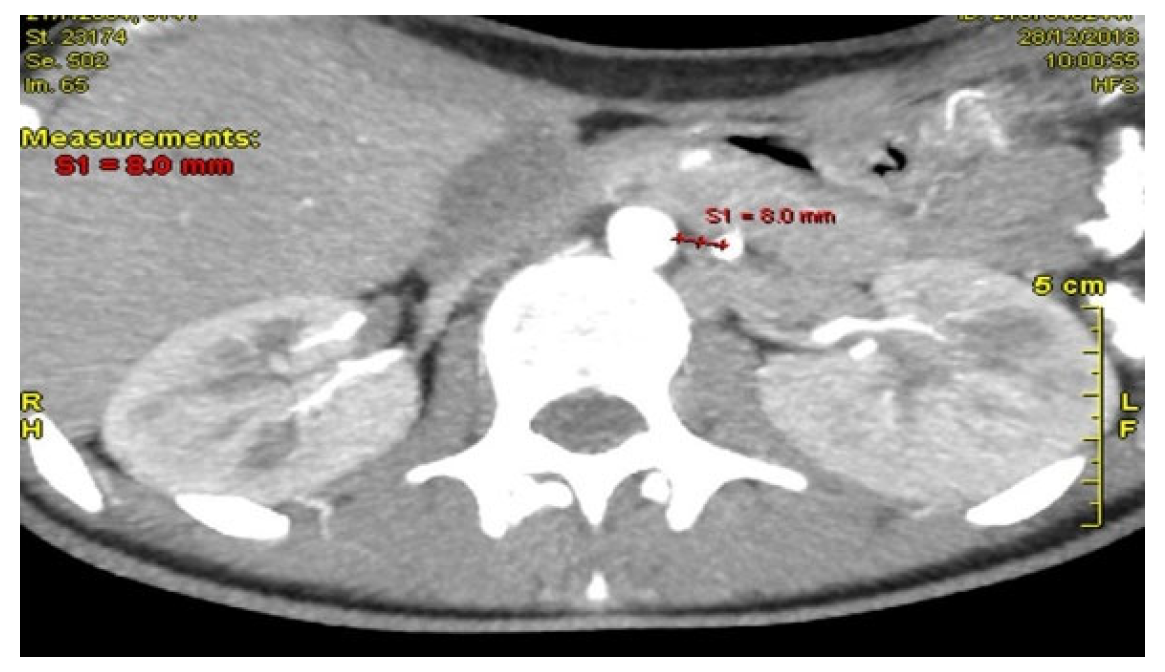 Reports 09 00020 g002