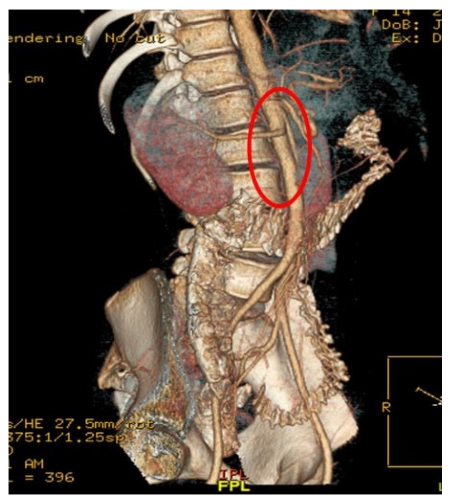 Reports 09 00020 g003