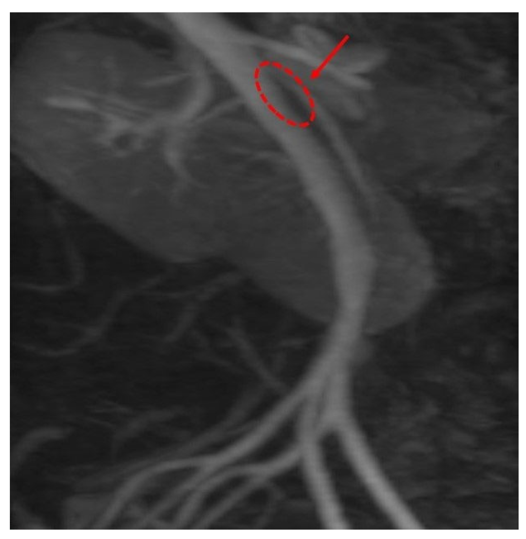 Reports 09 00020 g004