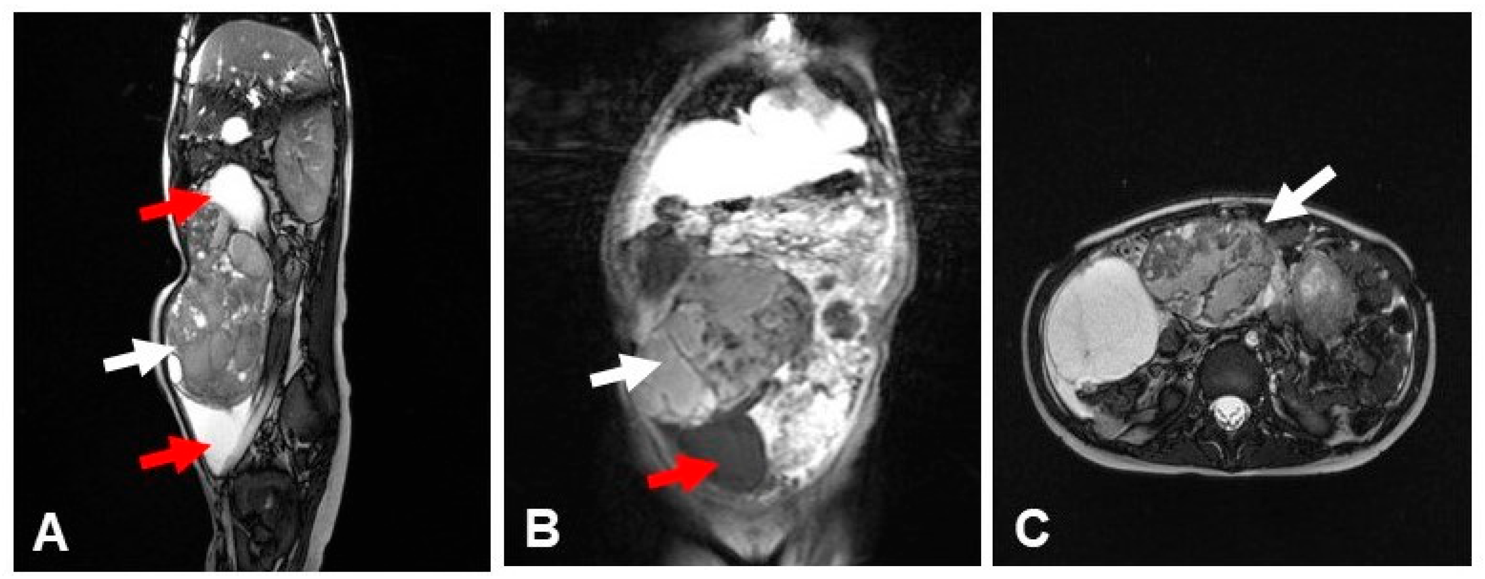 Reports 09 00021 g001