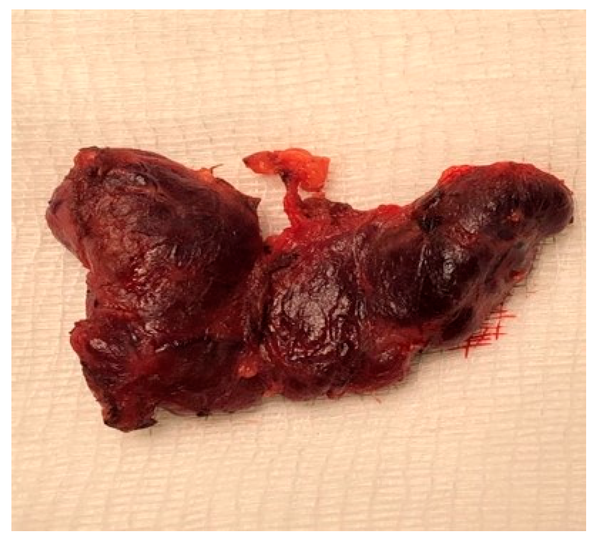 Reports 09 00021 g002