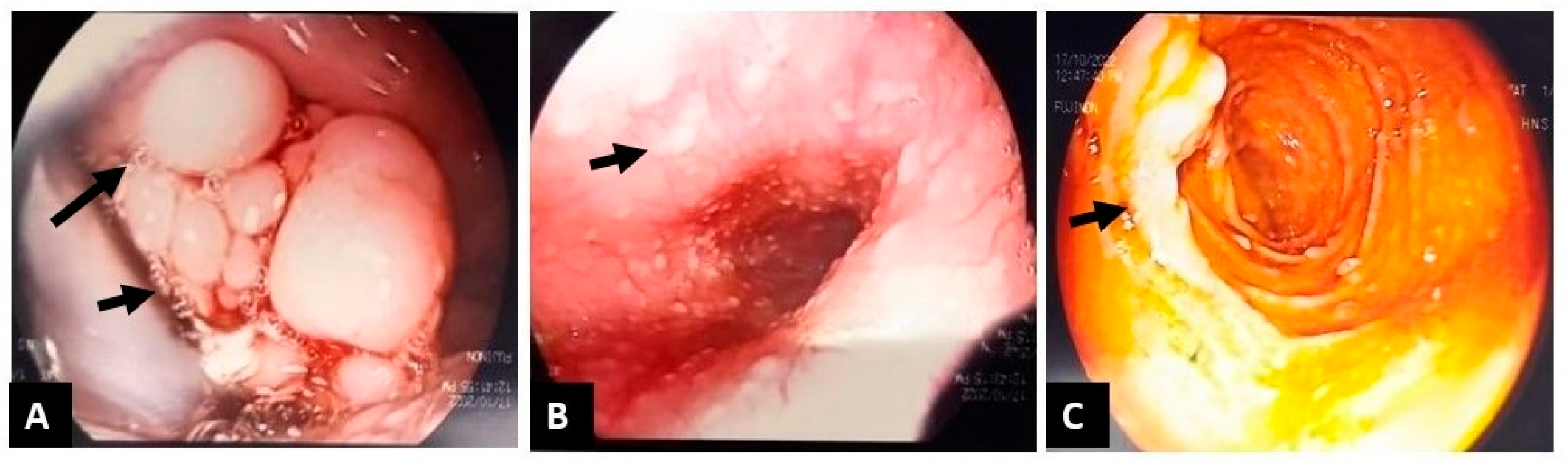 Reports 09 00021 g004