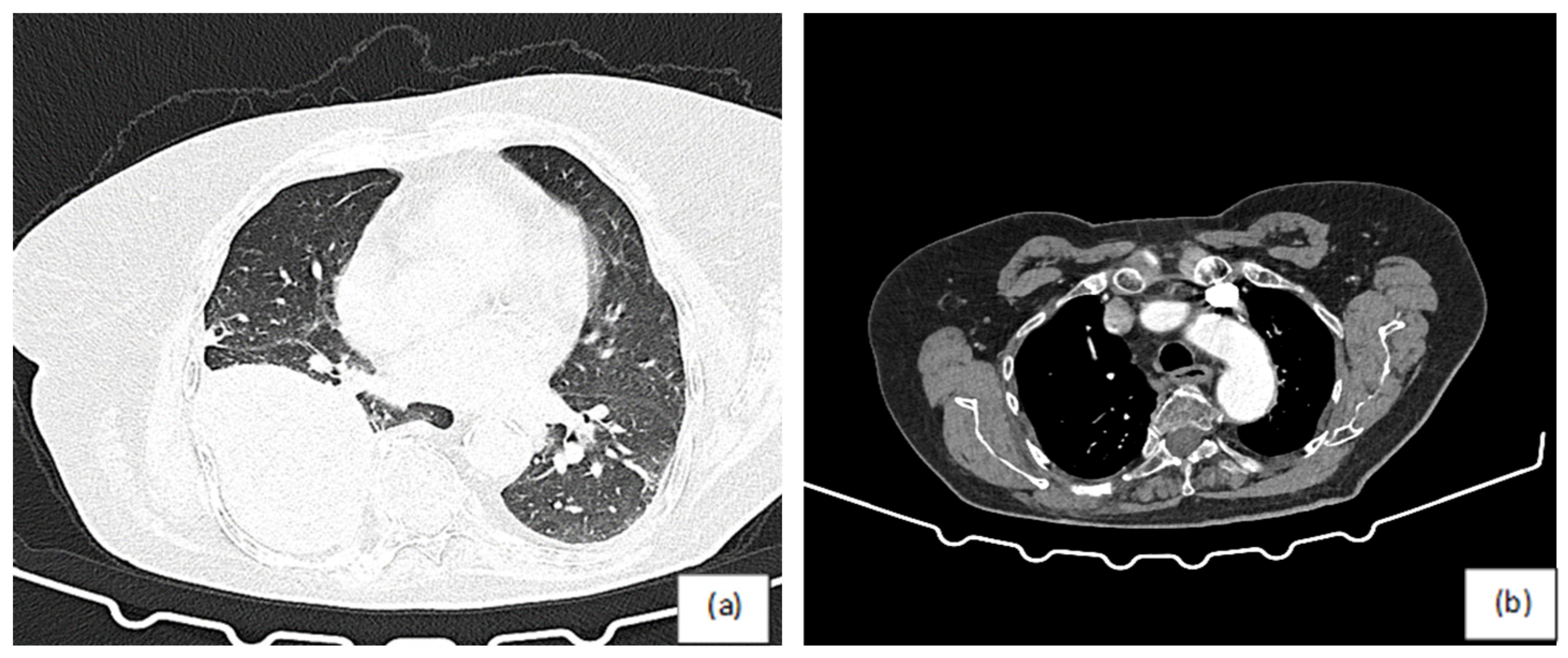 Reports 09 00229 g003 Reports 09 00229 g003
