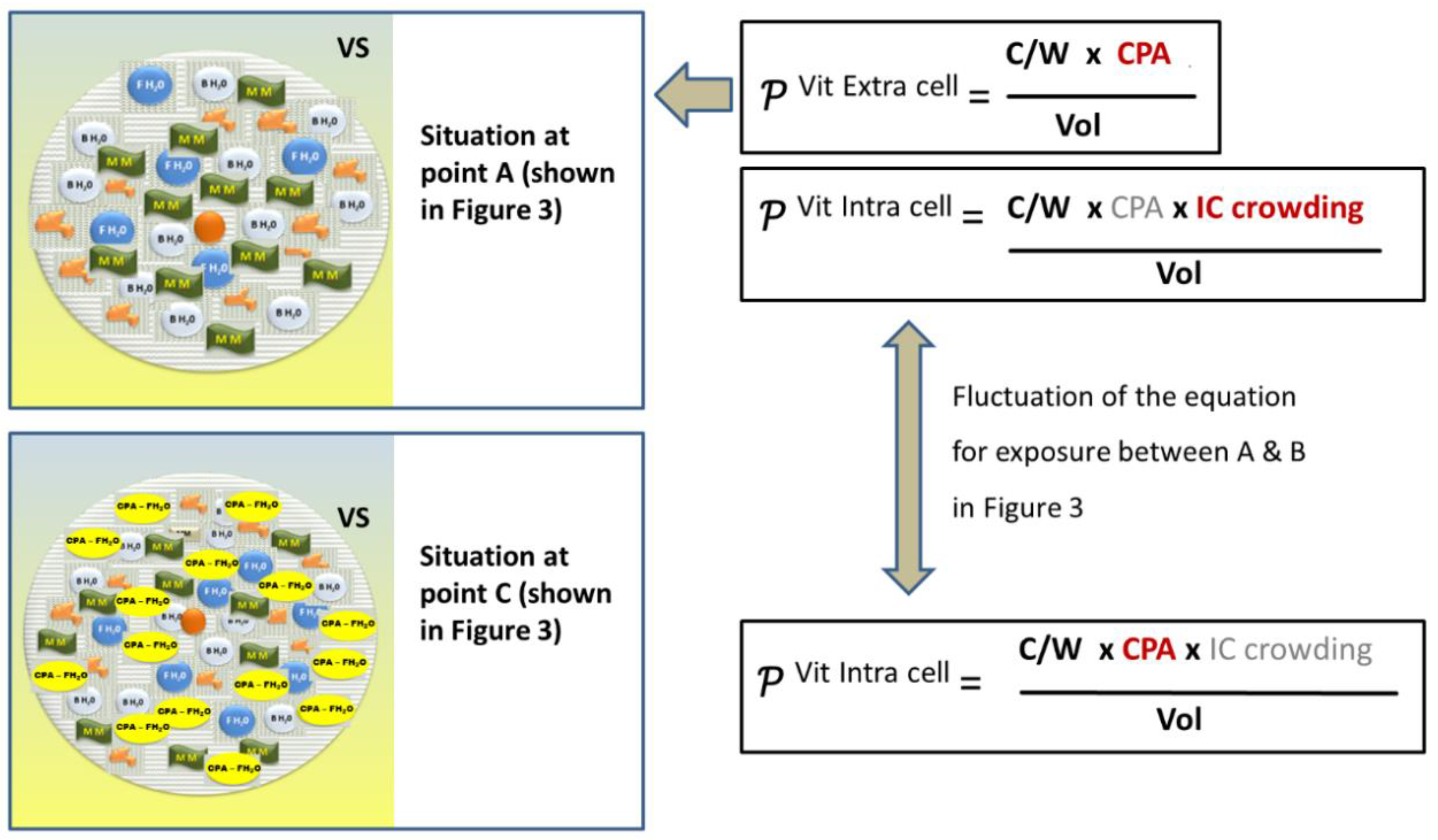 Reprodmed 01 00011 g004